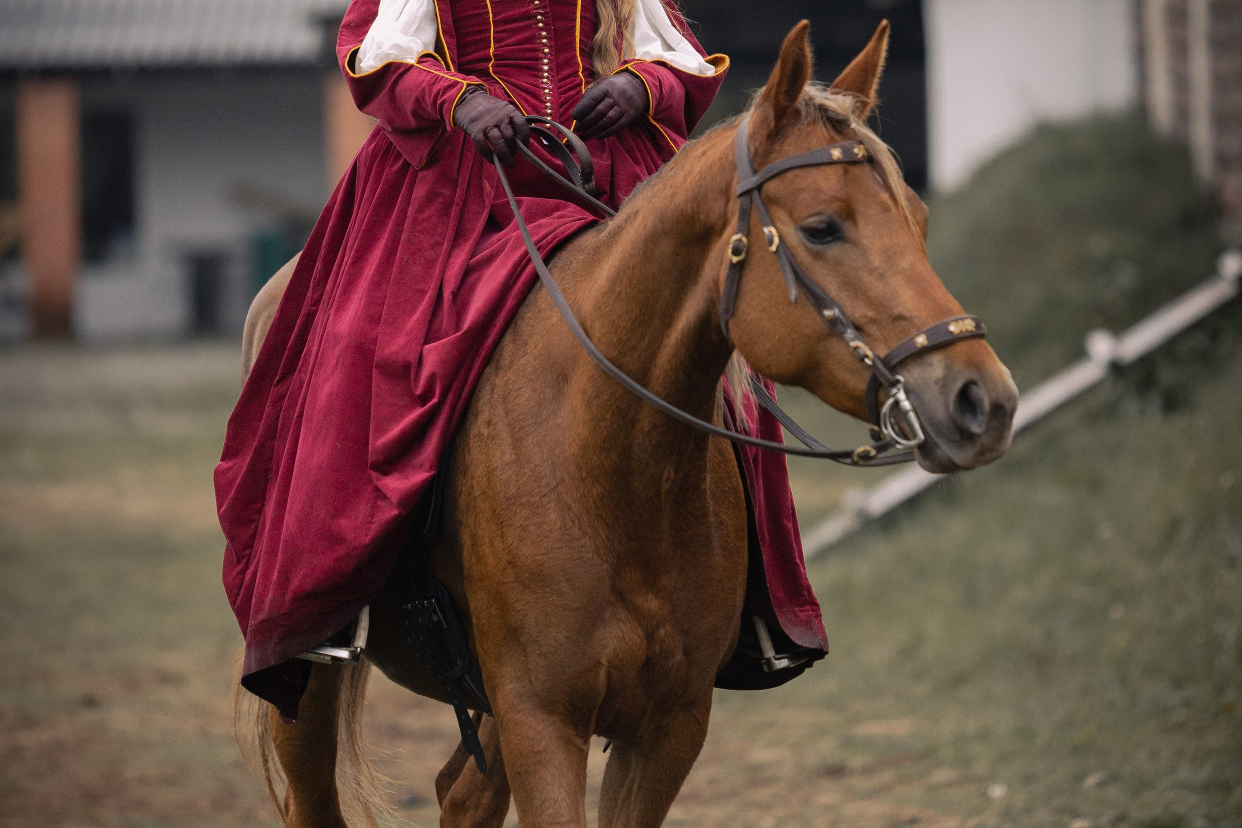 Золотая шпора. Огнем и мечем. День третий. Бой на поле. Профессиональный интерьерный и репортажный фотограф Минск и РБ. Максим Орлов