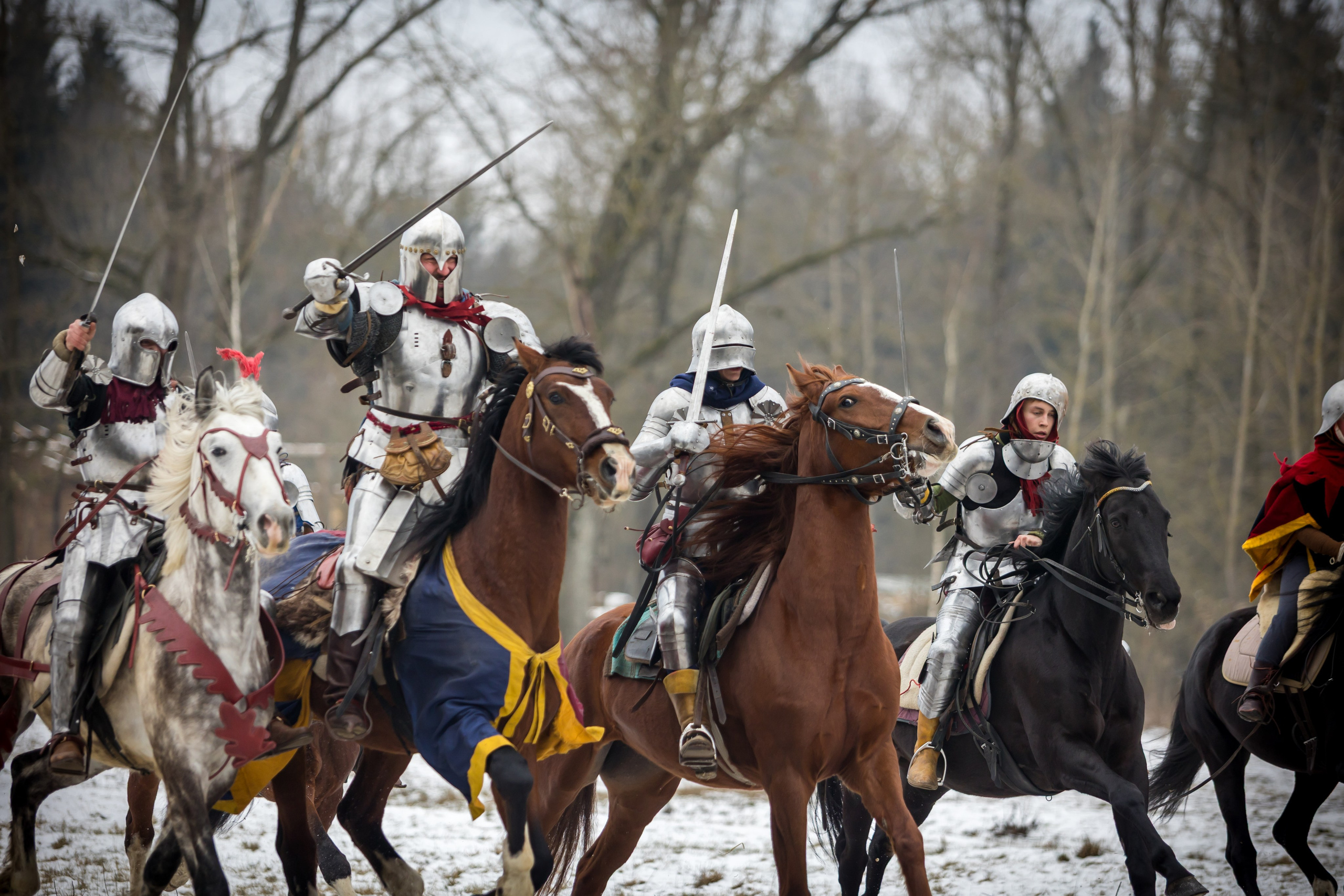 Зимние маневры «Золотой шпоры». 2025. Профессиональный интерьерный и репортажный фотограф Минск и РБ. Максим Орлов