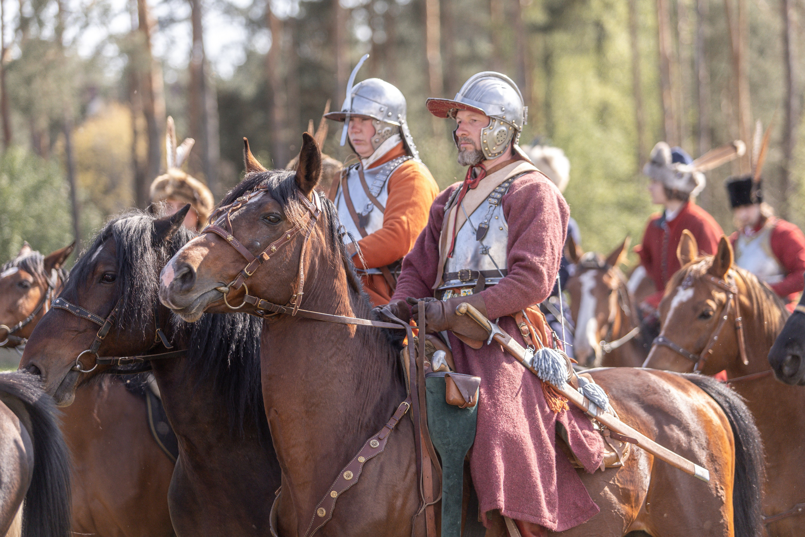 Золотая Шпора. Огнем и Мечем. День первый. Рыцарский турнир. Профессиональный интерьерный и репортажный фотограф Минск и РБ. Максим Орлов