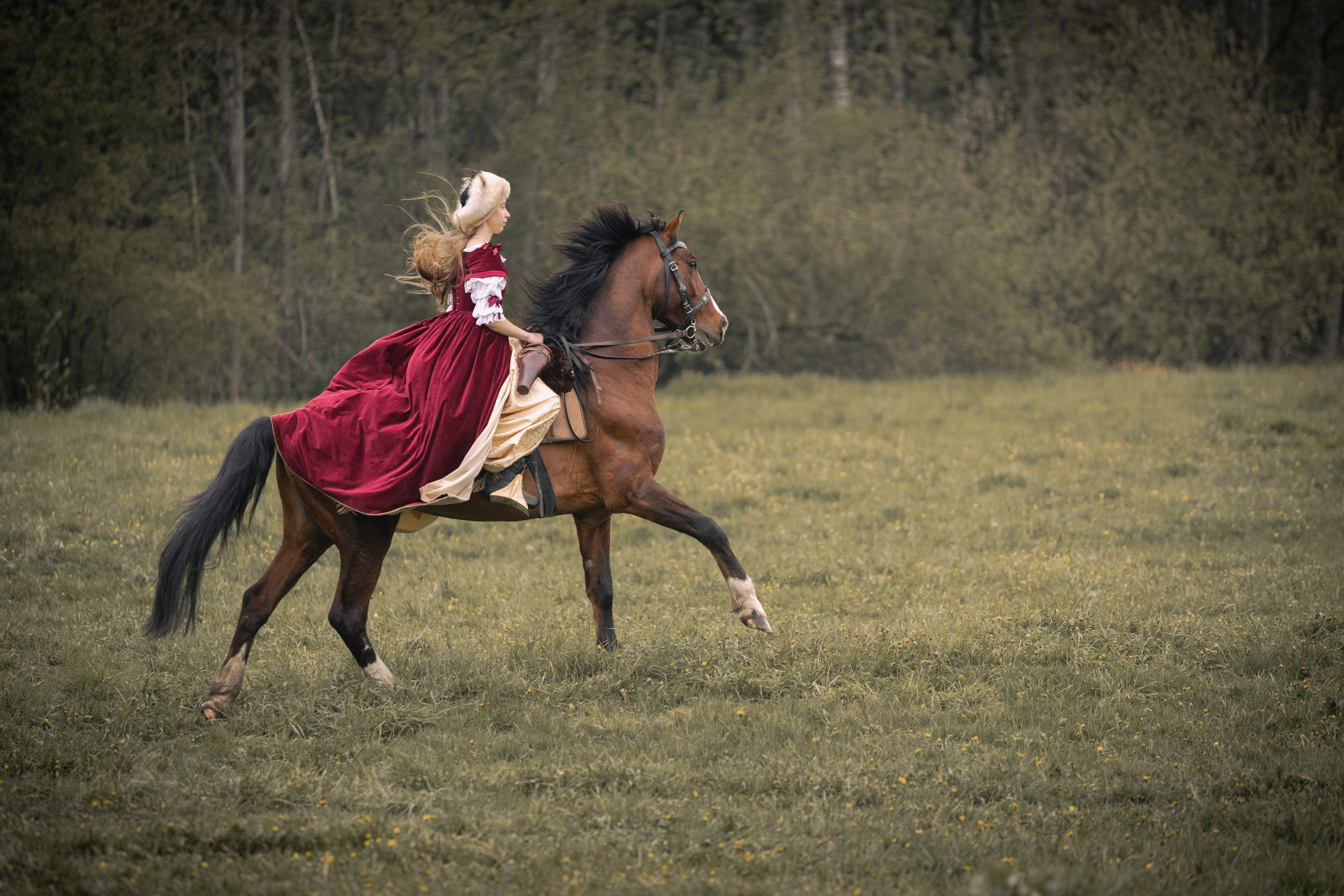 Золотая шпора. Огнем и мечем. День третий. Бой на поле. Профессиональный интерьерный и репортажный фотограф Минск и РБ. Максим Орлов