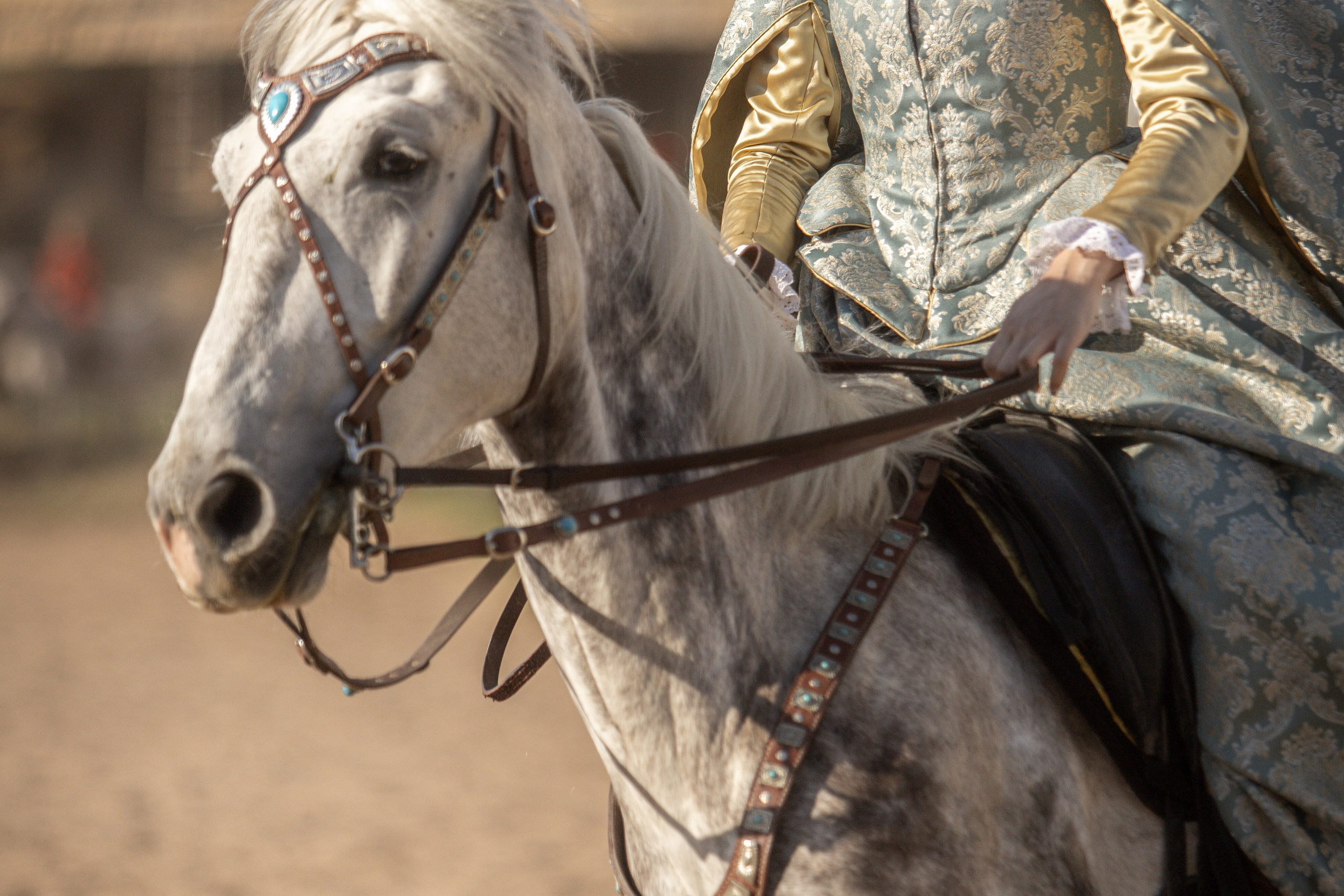 Золотая Шпора. Огнем и Мечем. День первый. Рыцарский турнир. Профессиональный интерьерный и репортажный фотограф Минск и РБ. Максим Орлов
