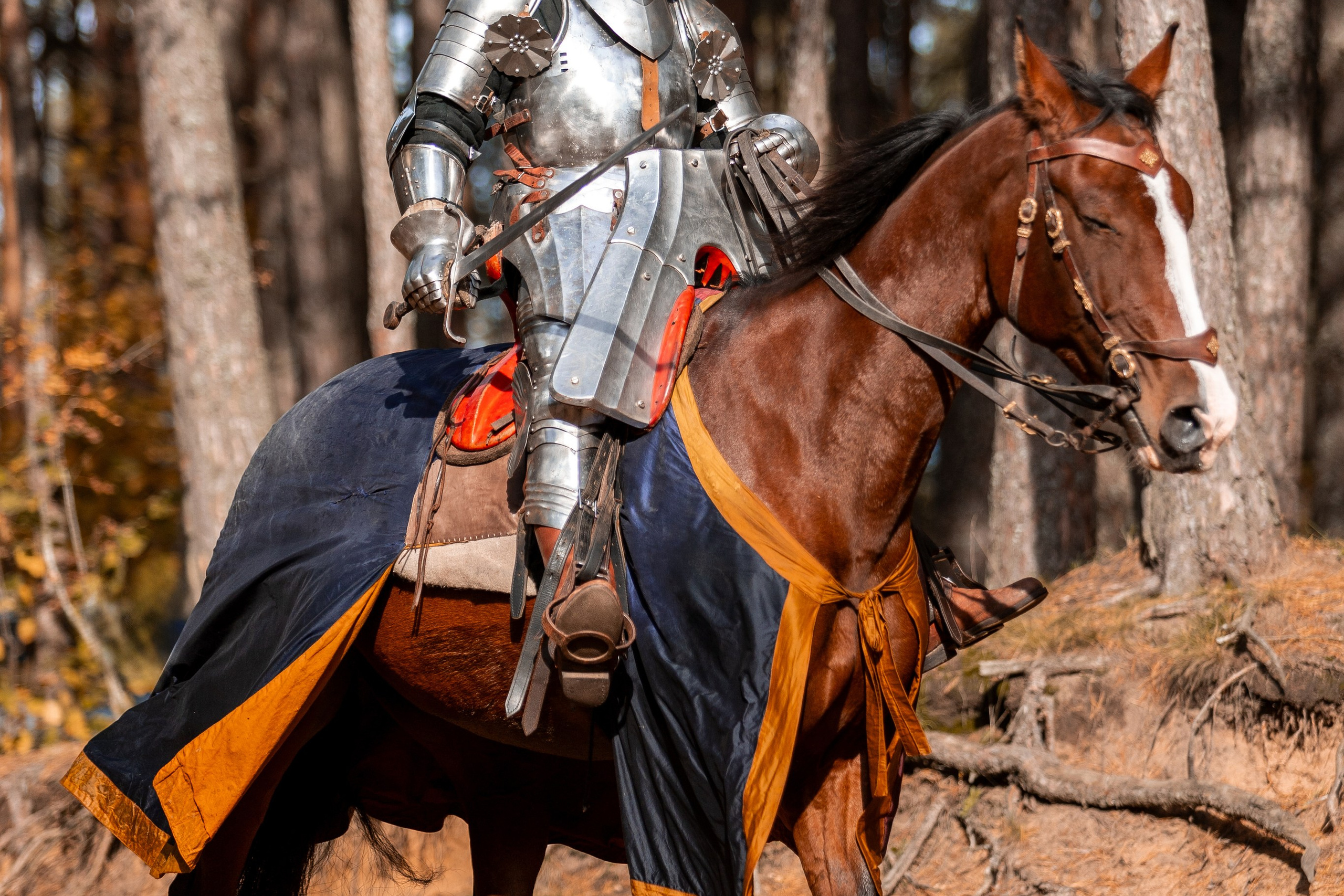 Рыцарская с Афиной. Дима Теслик. Профессиональный интерьерный и репортажный фотограф Минск и РБ. Максим Орлов