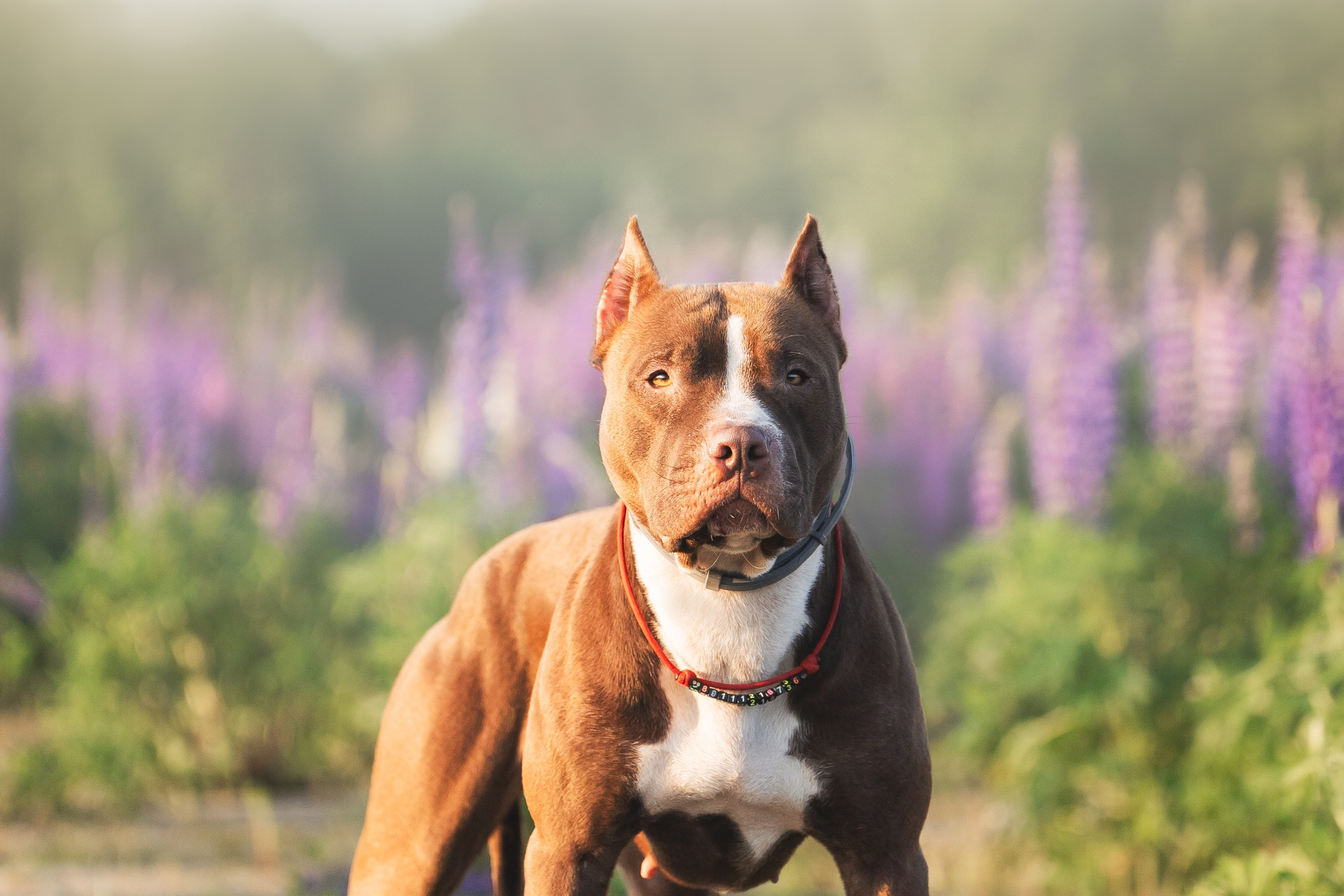 Фотопрогулки