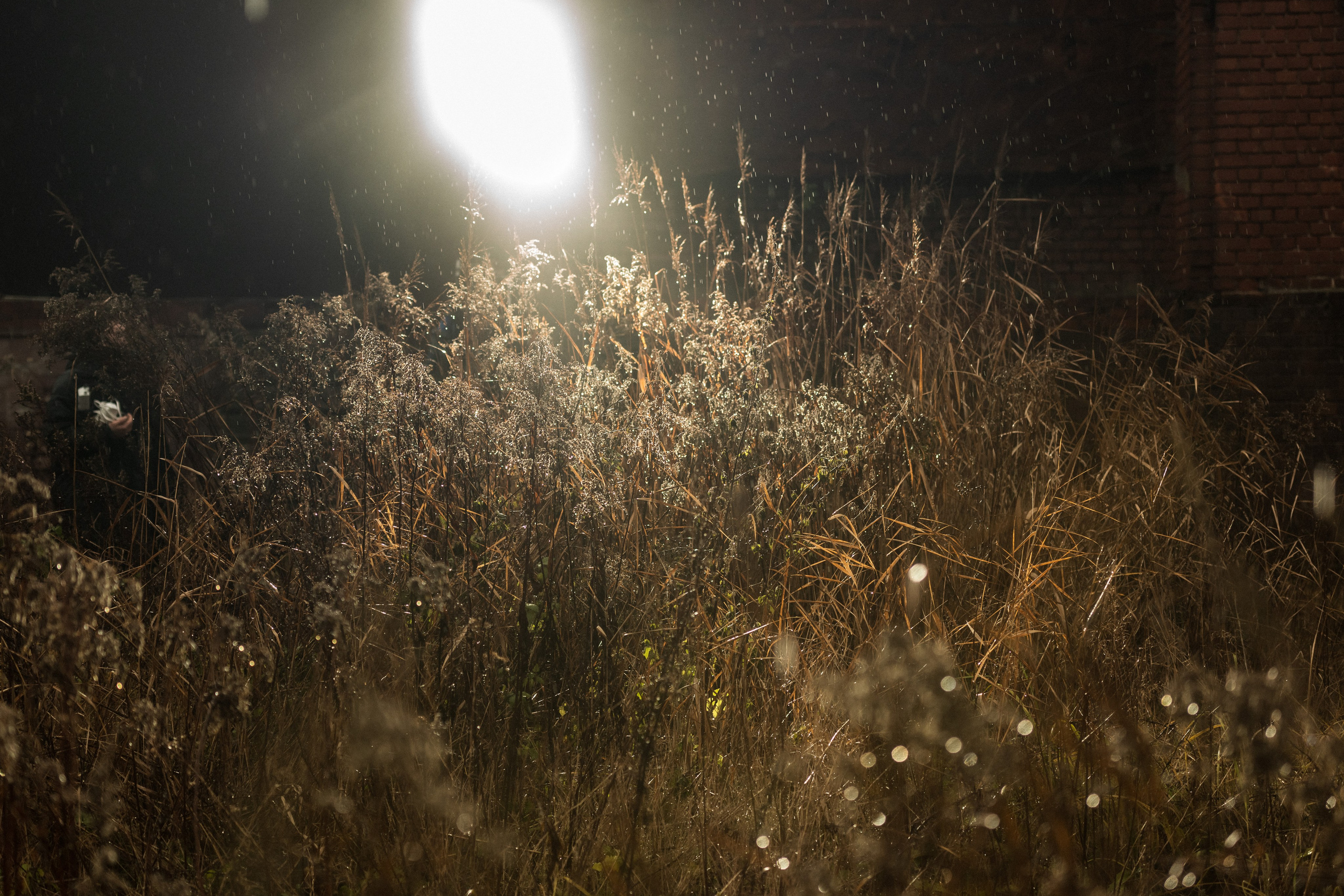 Блог. Фотограф Ксения Шевкопляс. г. Калининград. Кинематографический стиль — эстетика и истории, рассказанные через объектив