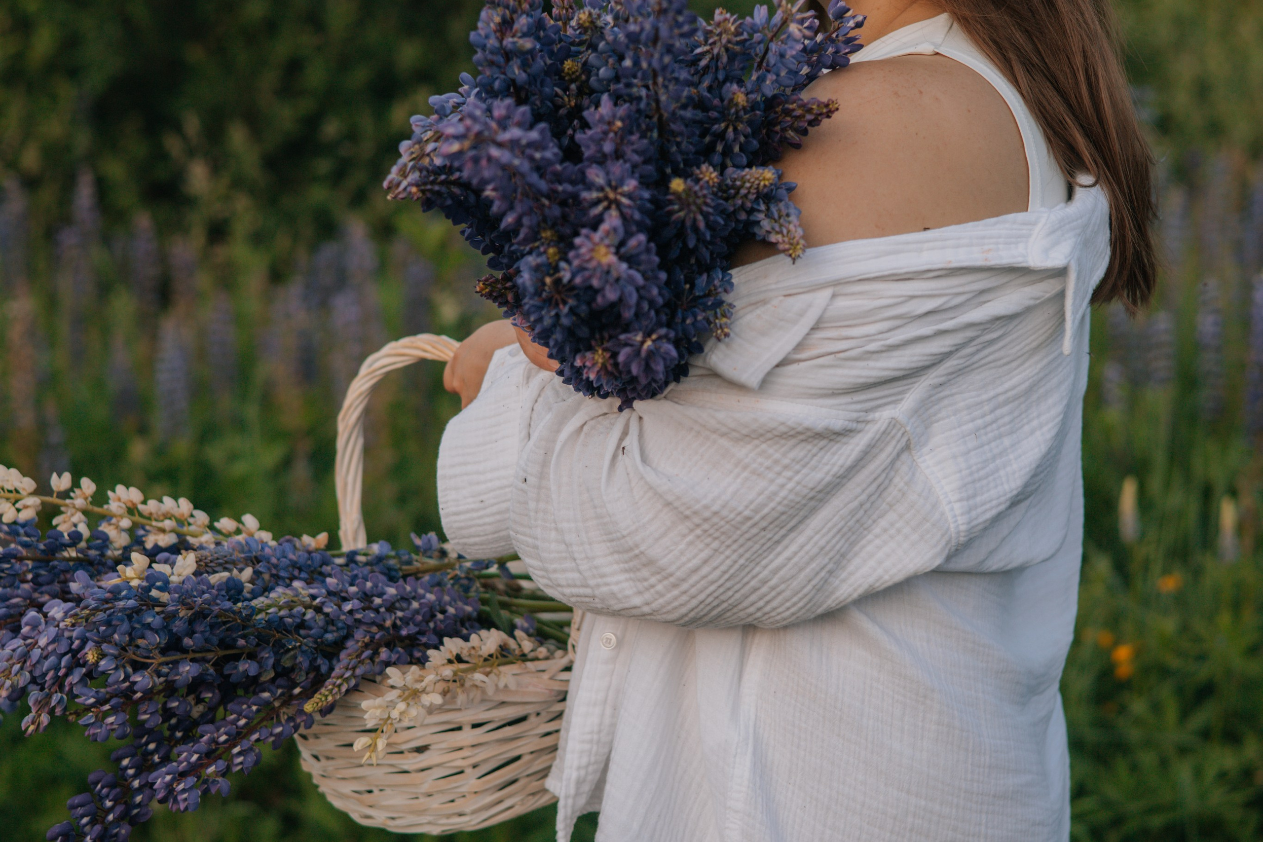 Фотосессия в люпинах