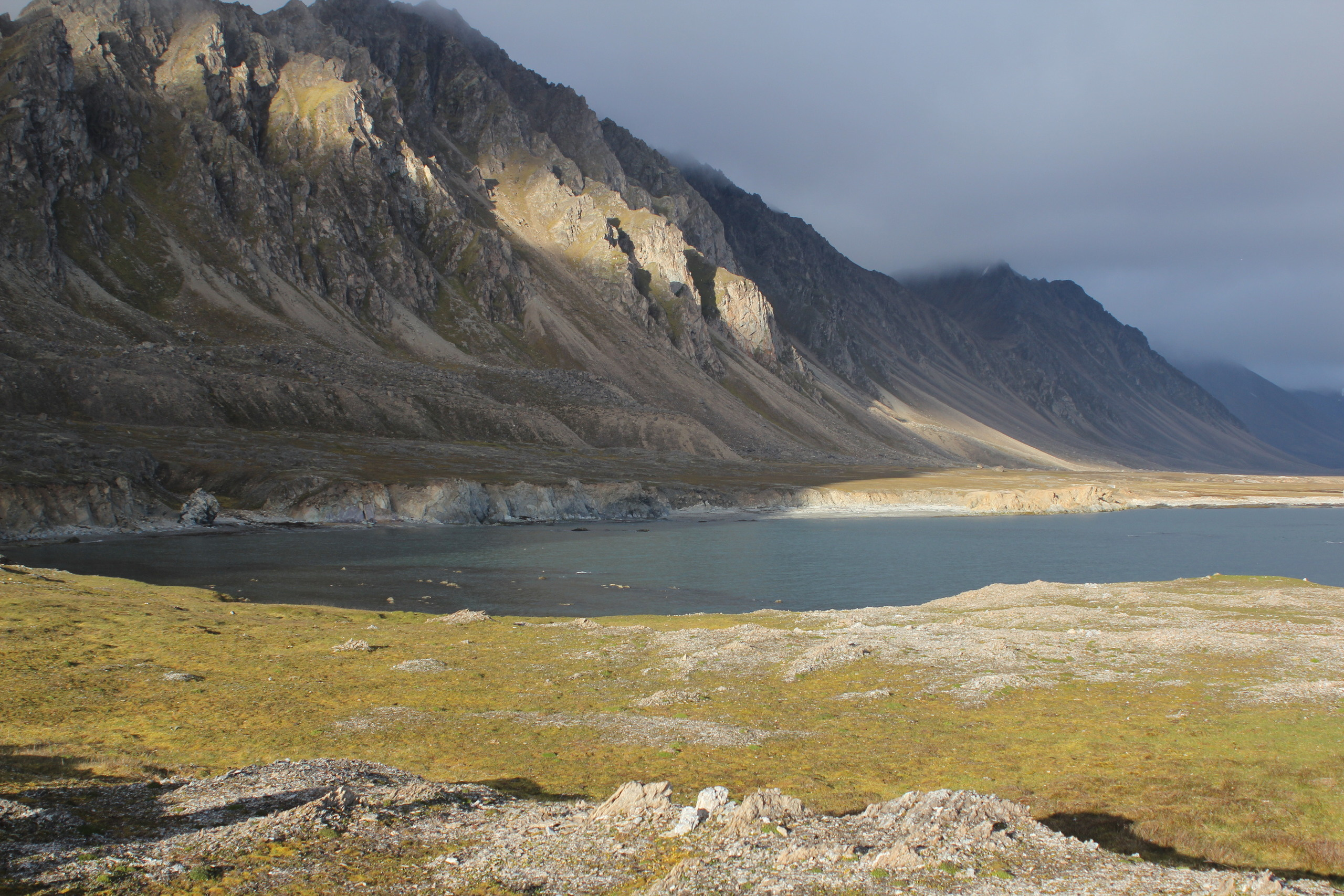Dunder — от нор. «гром»