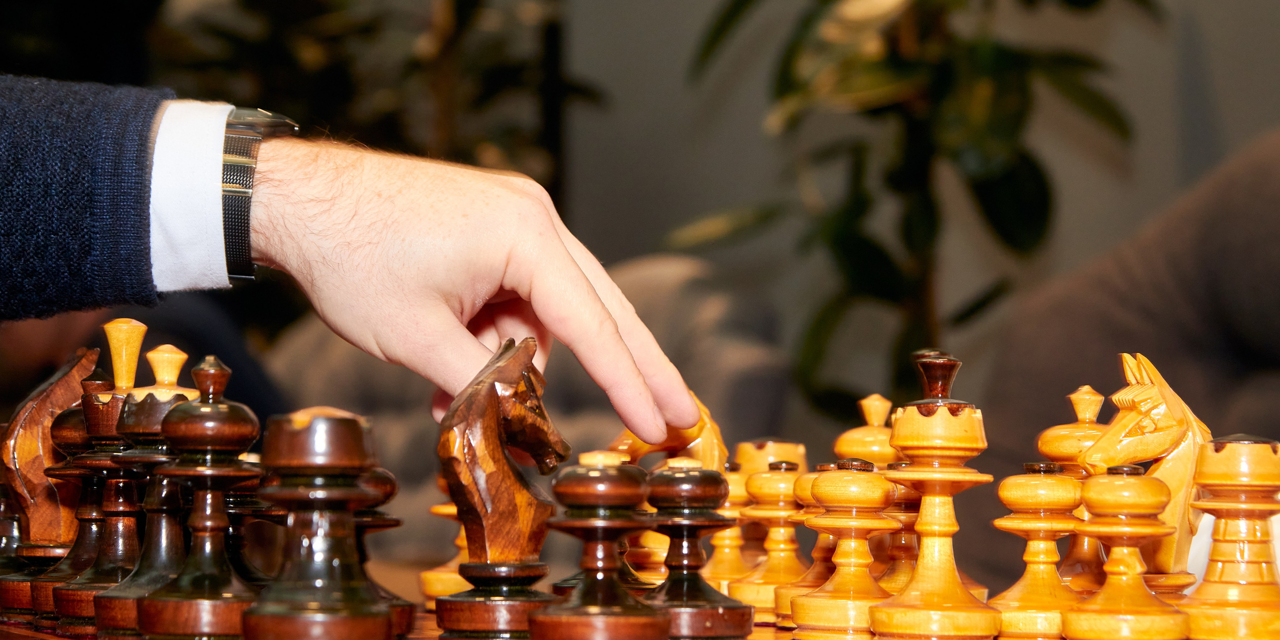 Шахматные турниры