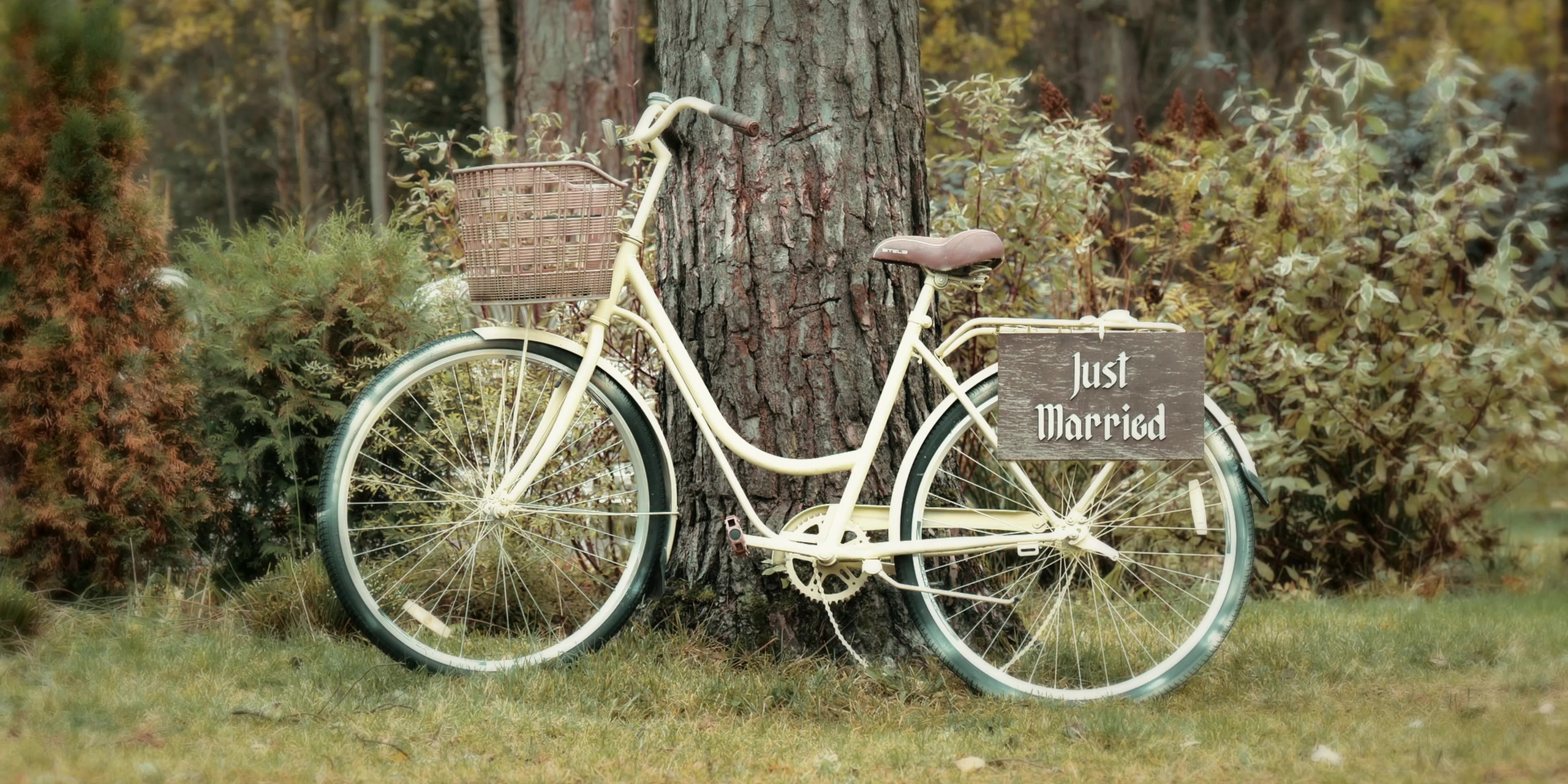 Саша и Настя