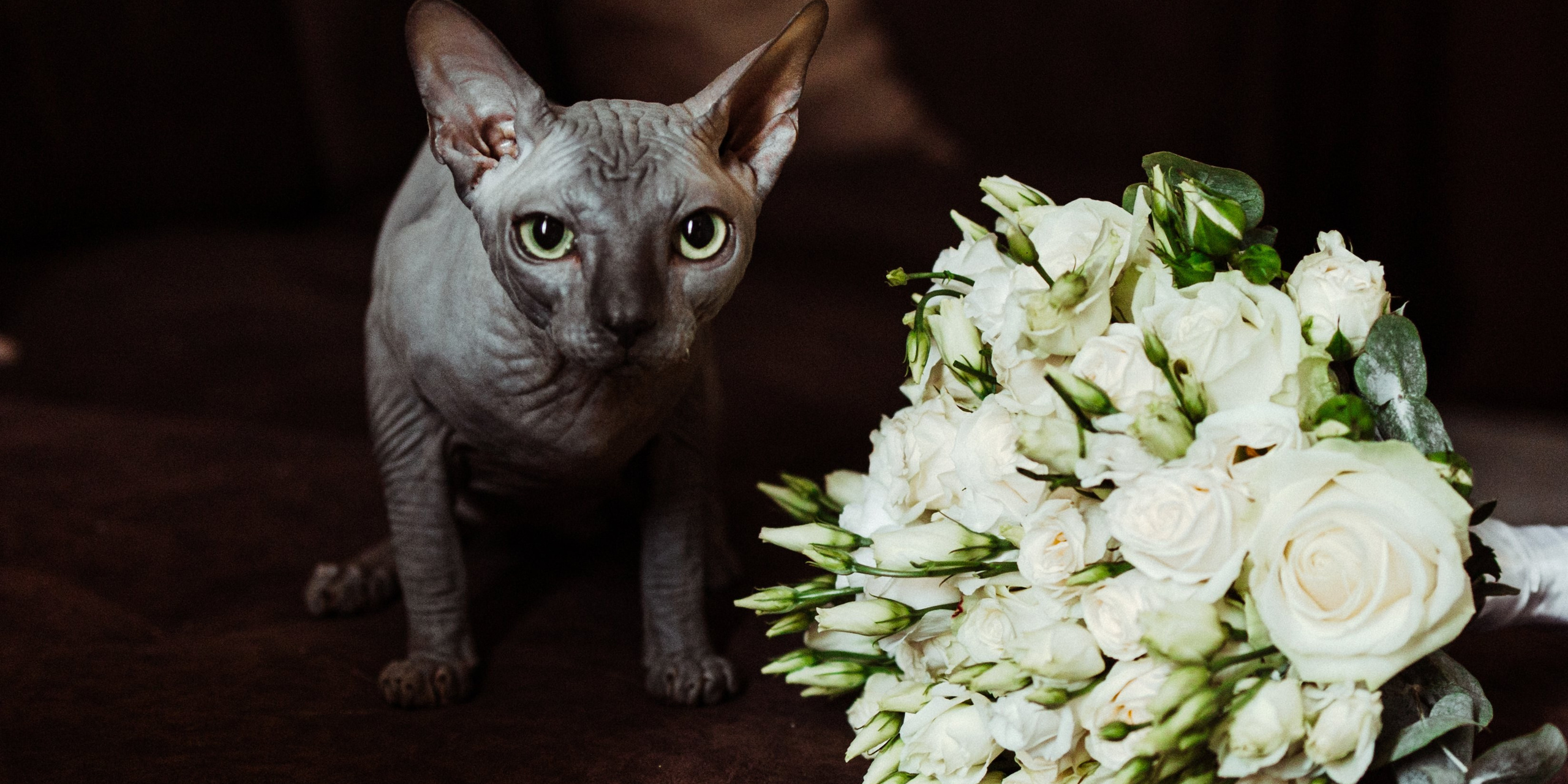 Илья и Кристина