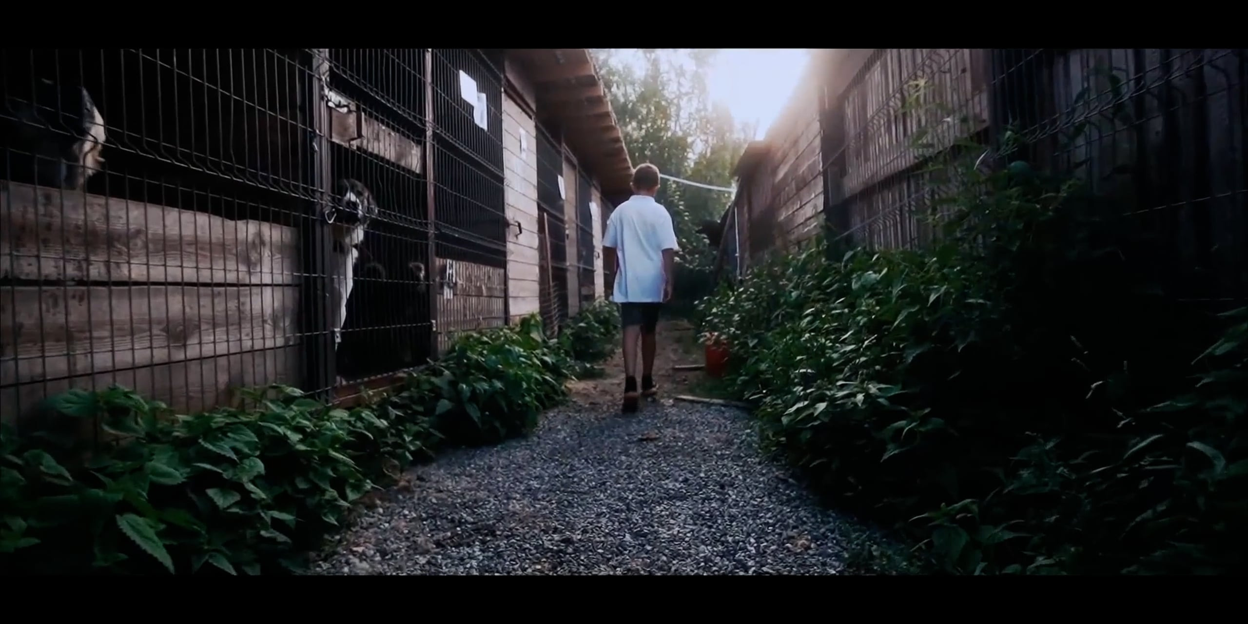 Projects. NEVERLAND FILMS | DOP, DI COLORIST