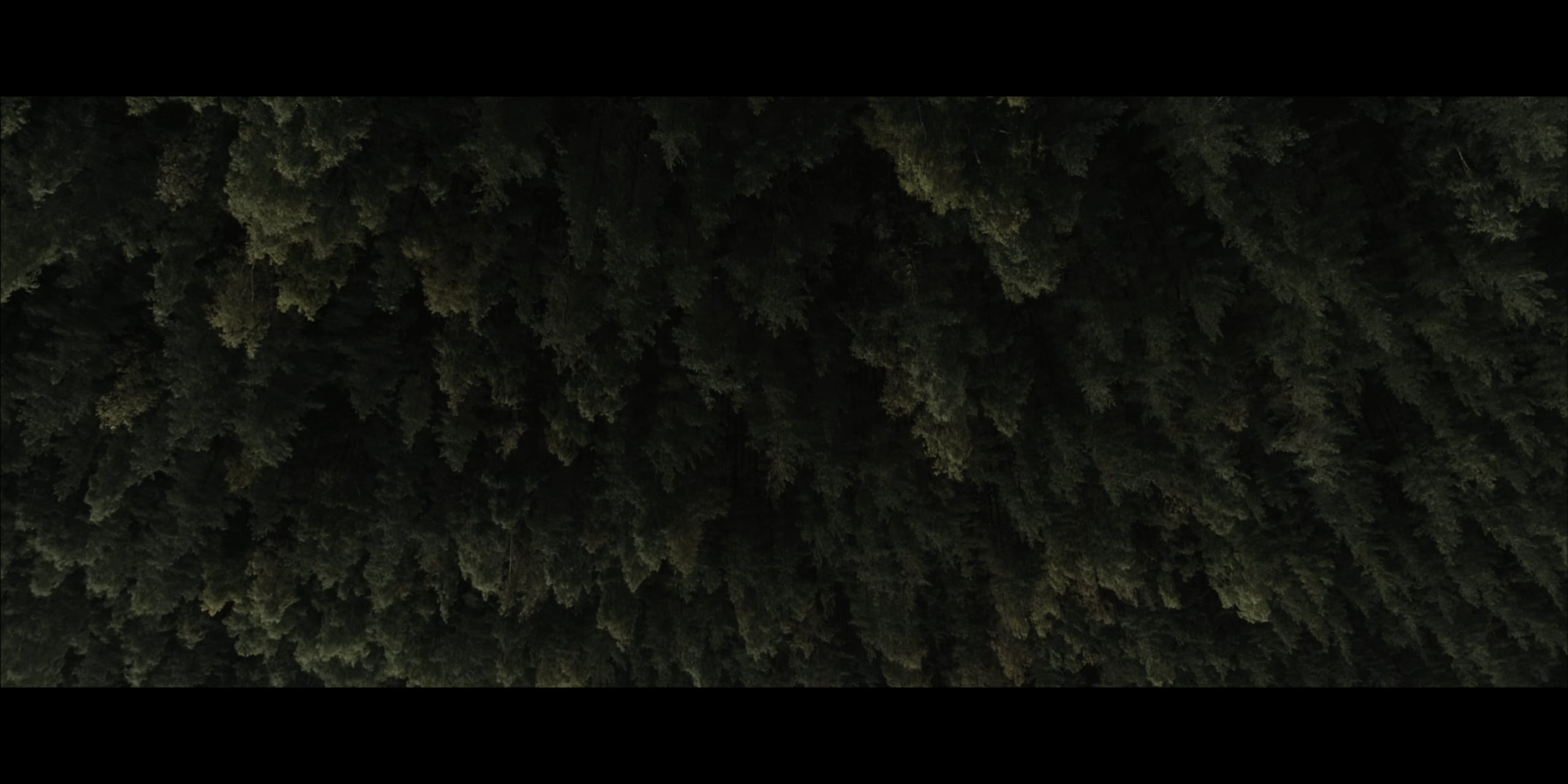 Музыкальные клипы. Свадебное видео в Иваново и России