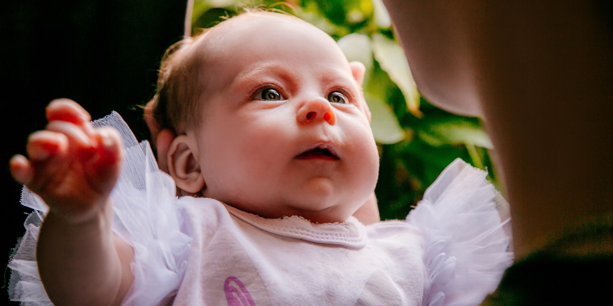 Домашняя 1 месяц