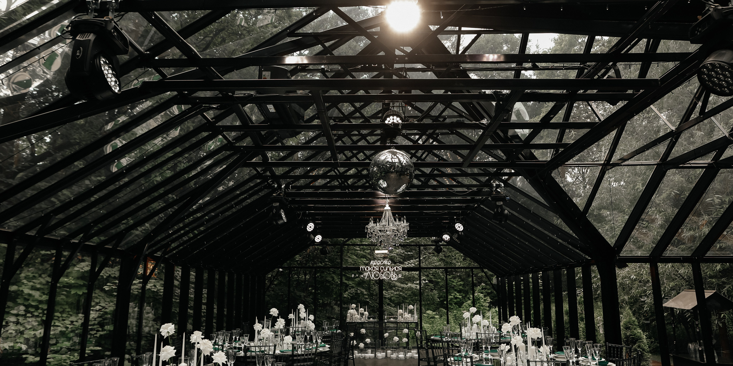 Forest dew reportage