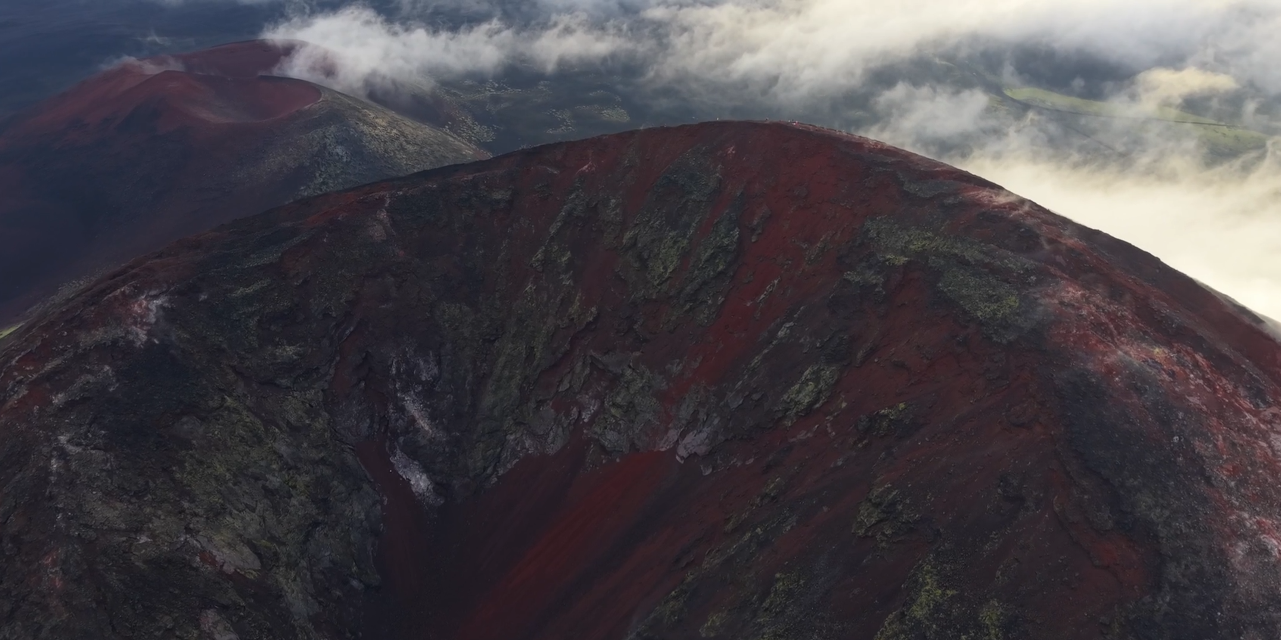 Видео. Daria wanderer photography