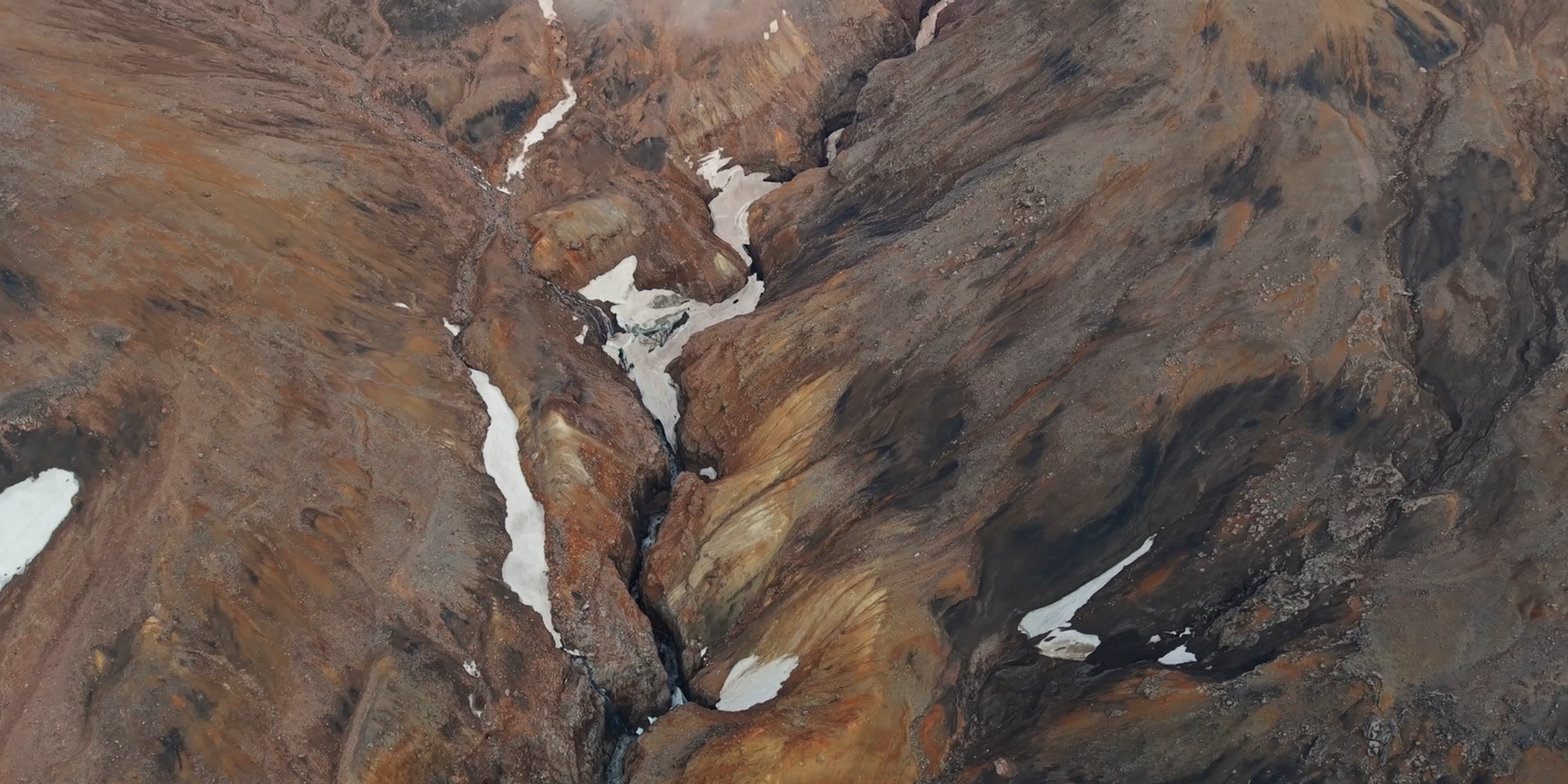 Видео. Daria wanderer photography