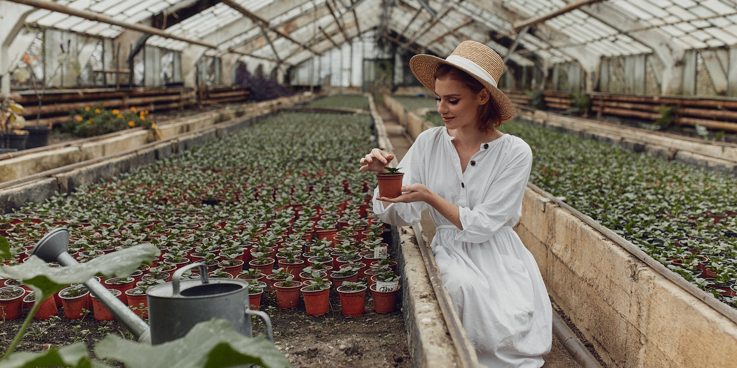 Старая оранжерея