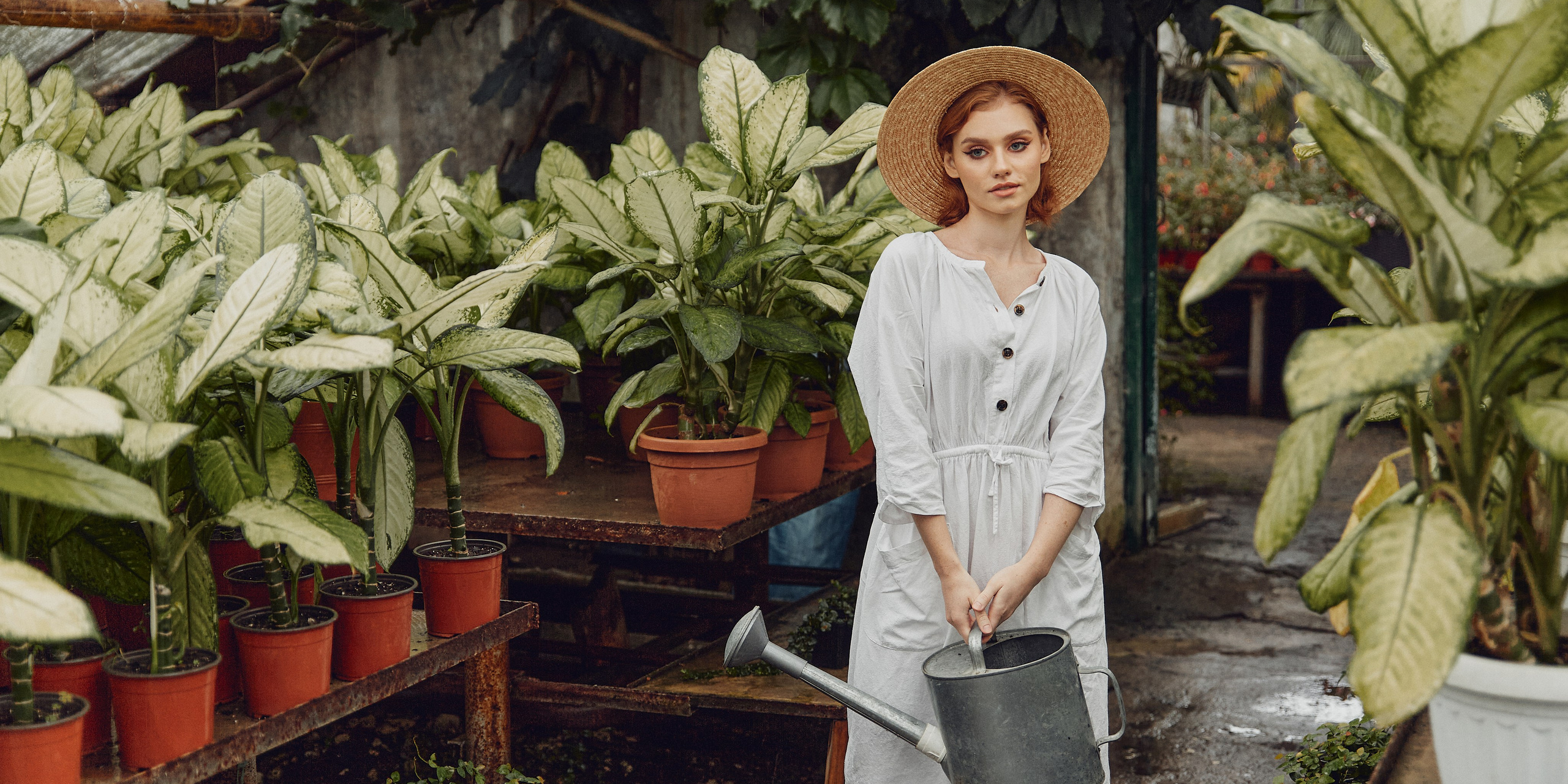 Старая оранжерея