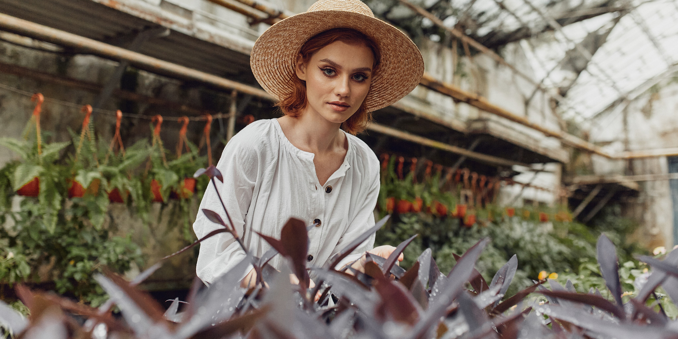 Старая оранжерея