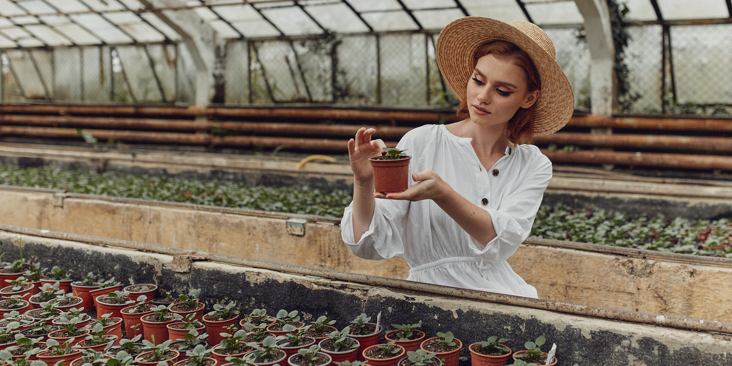 Старая оранжерея