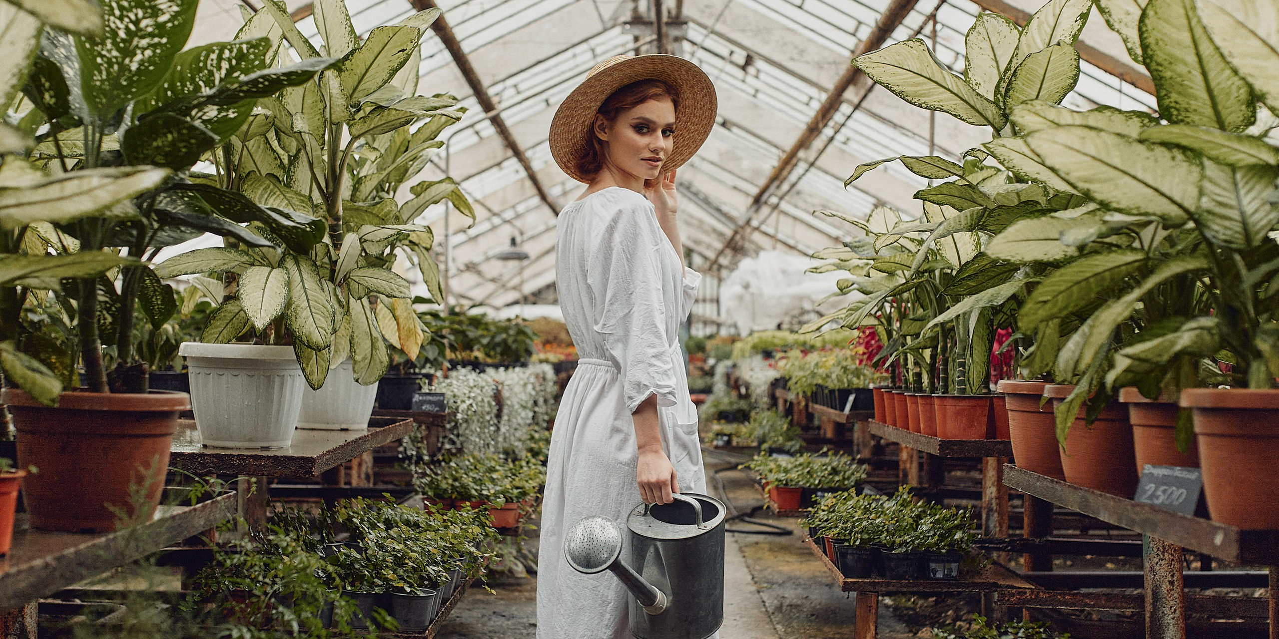 Старая оранжерея