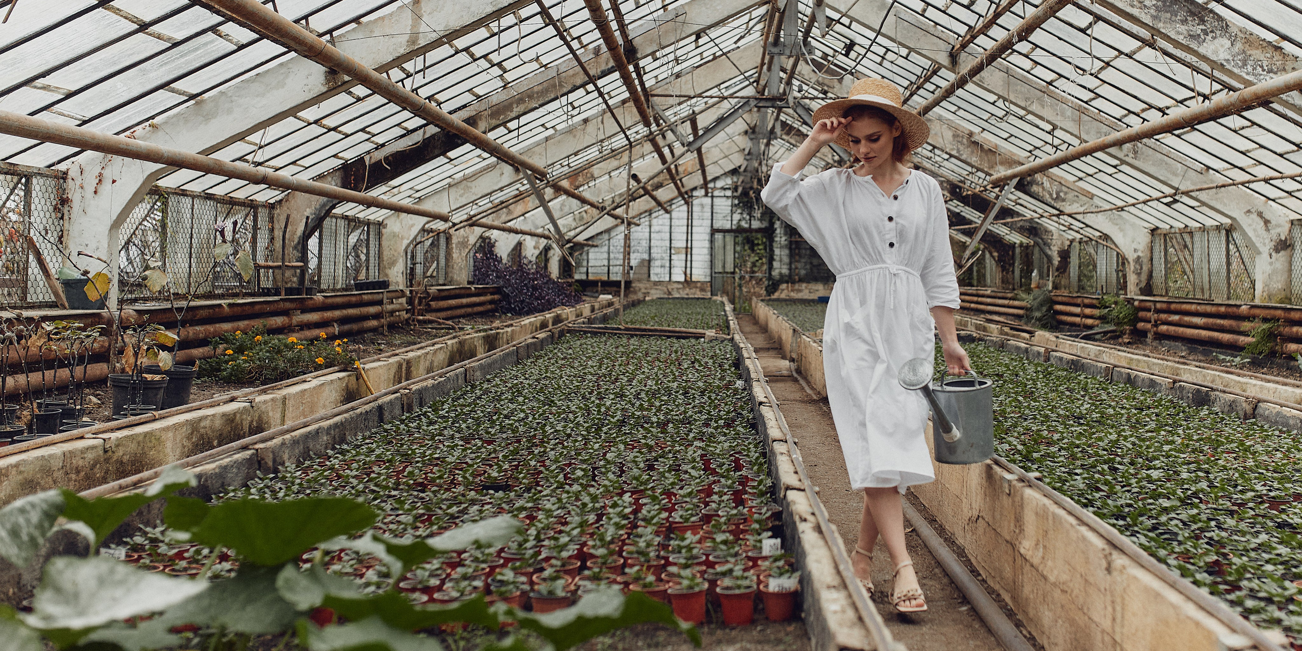 Старая оранжерея