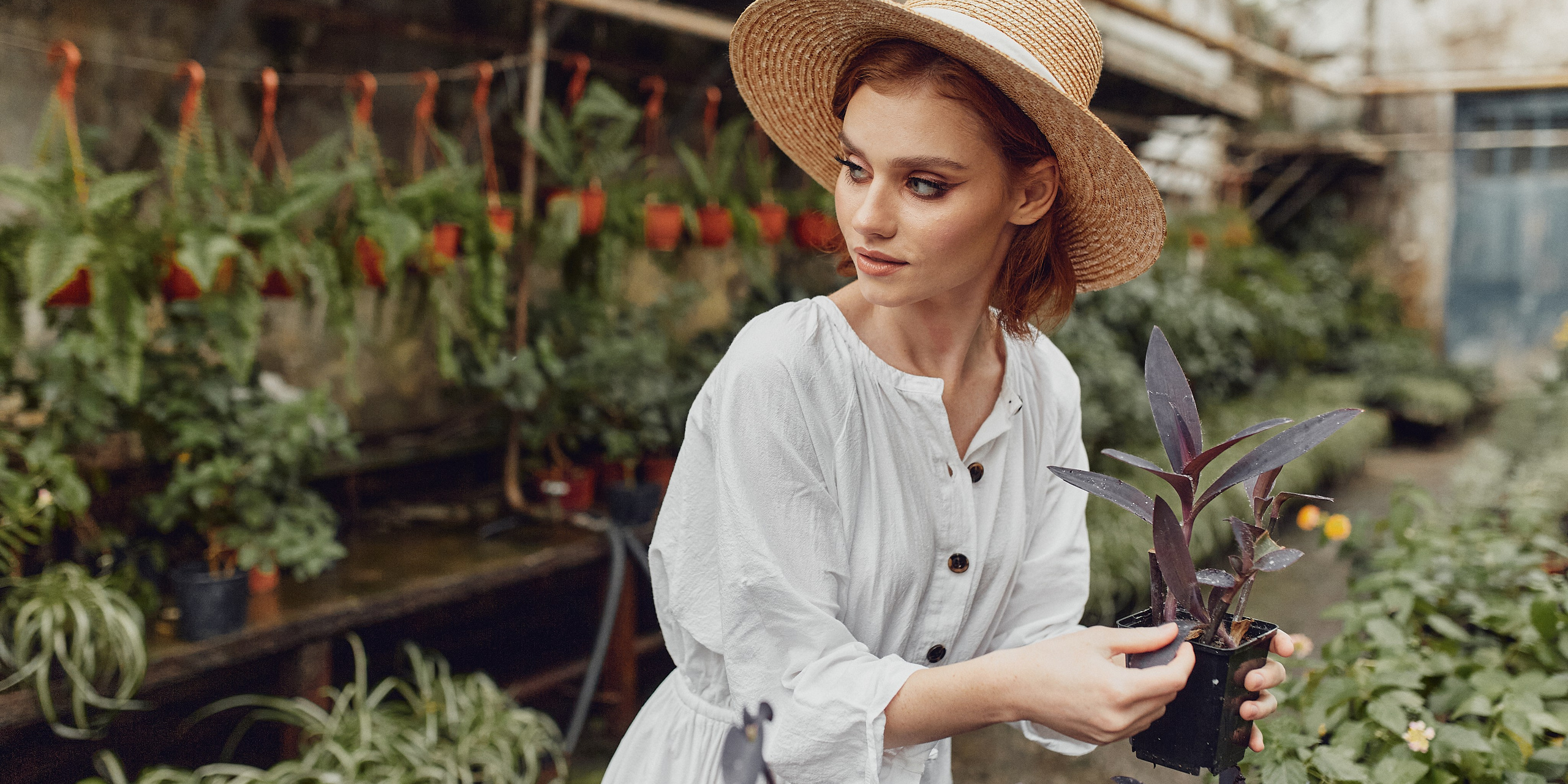 Старая оранжерея