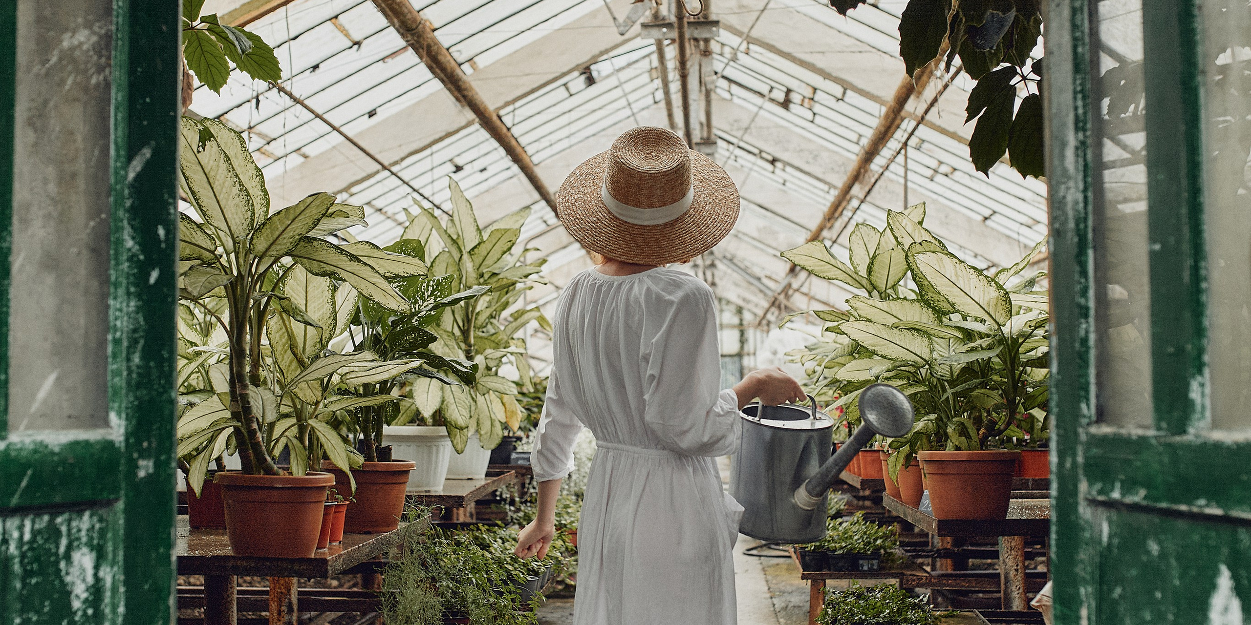 Старая оранжерея