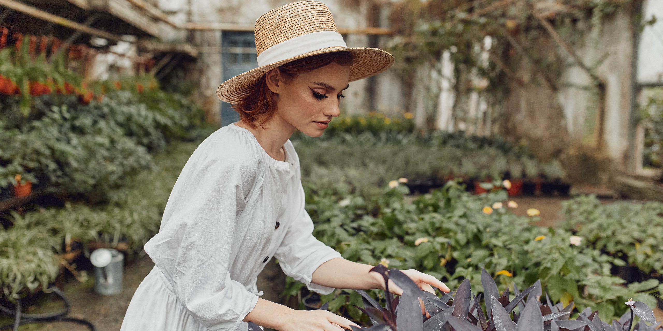 Старая оранжерея