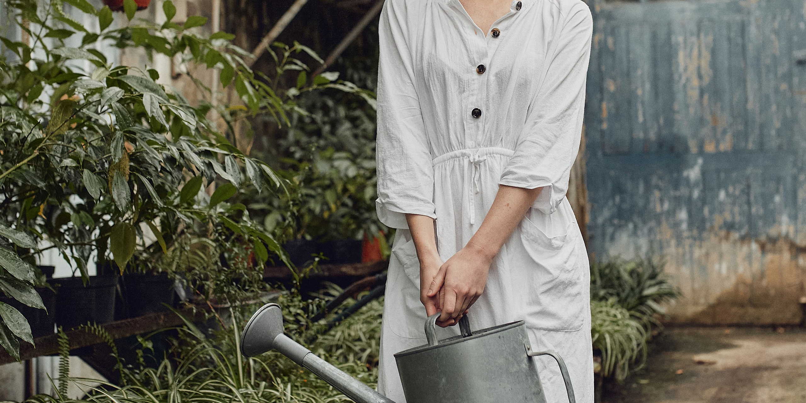 Старая оранжерея