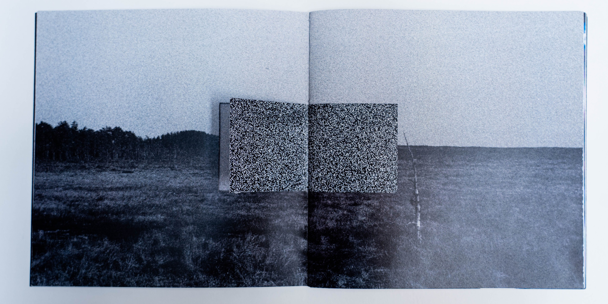 Шум. Катерина Эделева