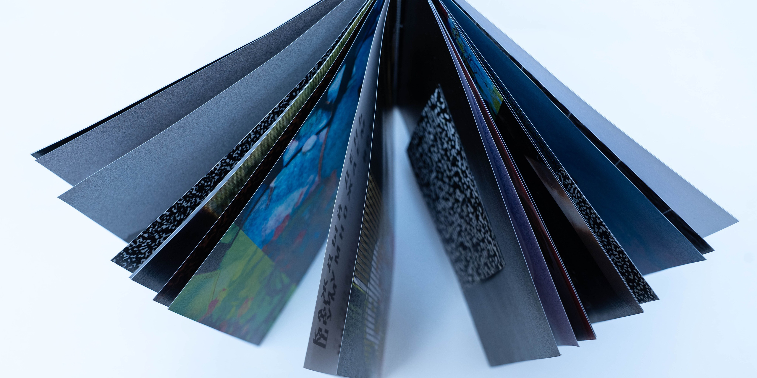 Шум. Катерина Эделева