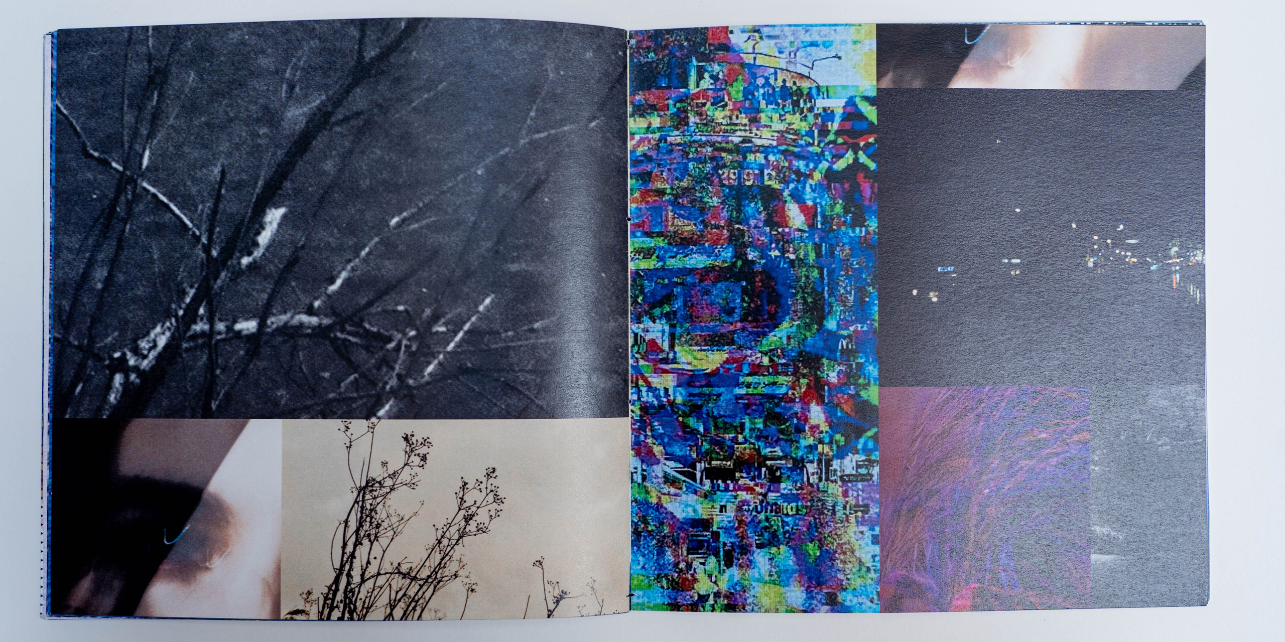 Шум. Катерина Эделева