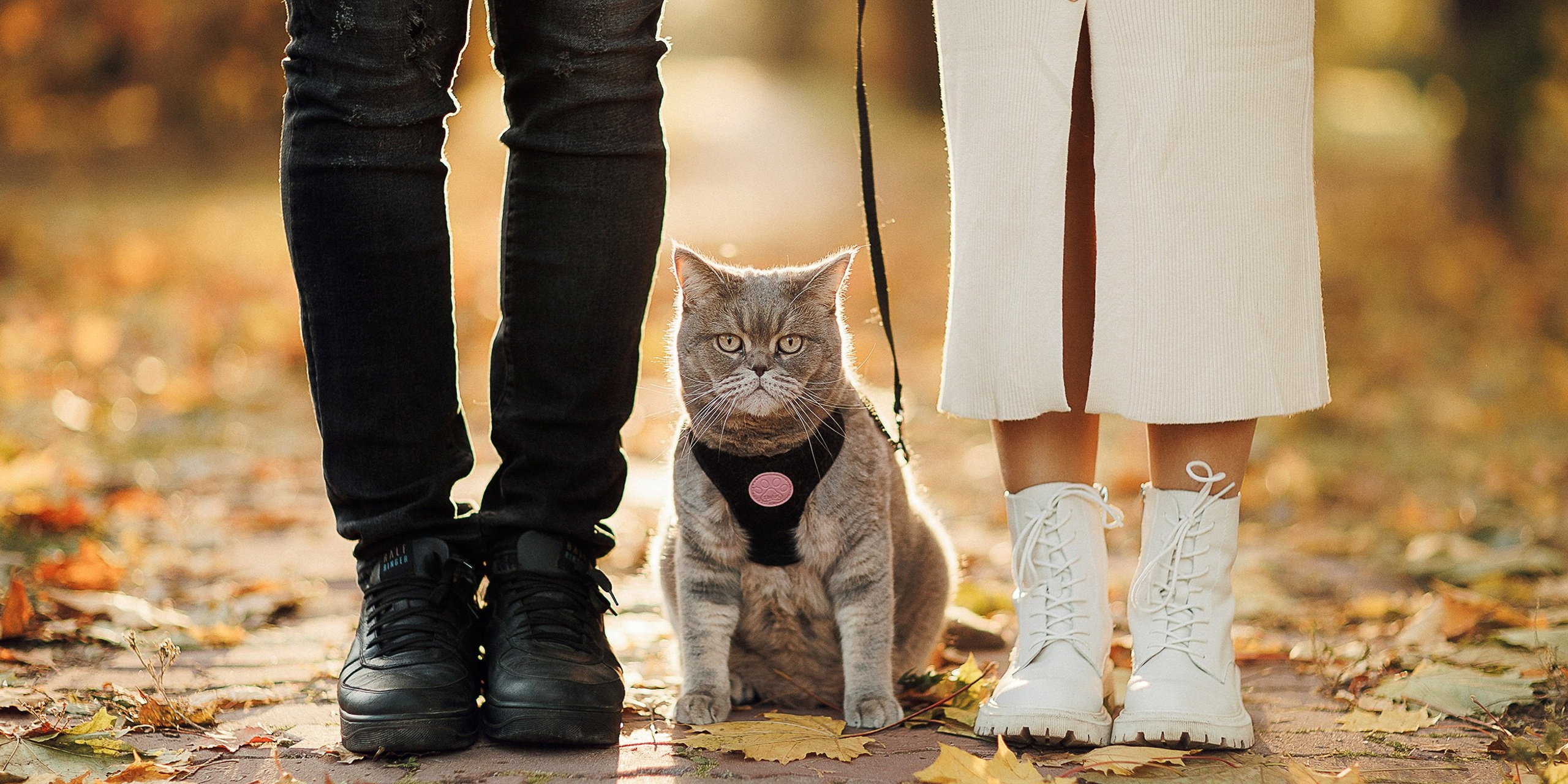 Лиза и Рома