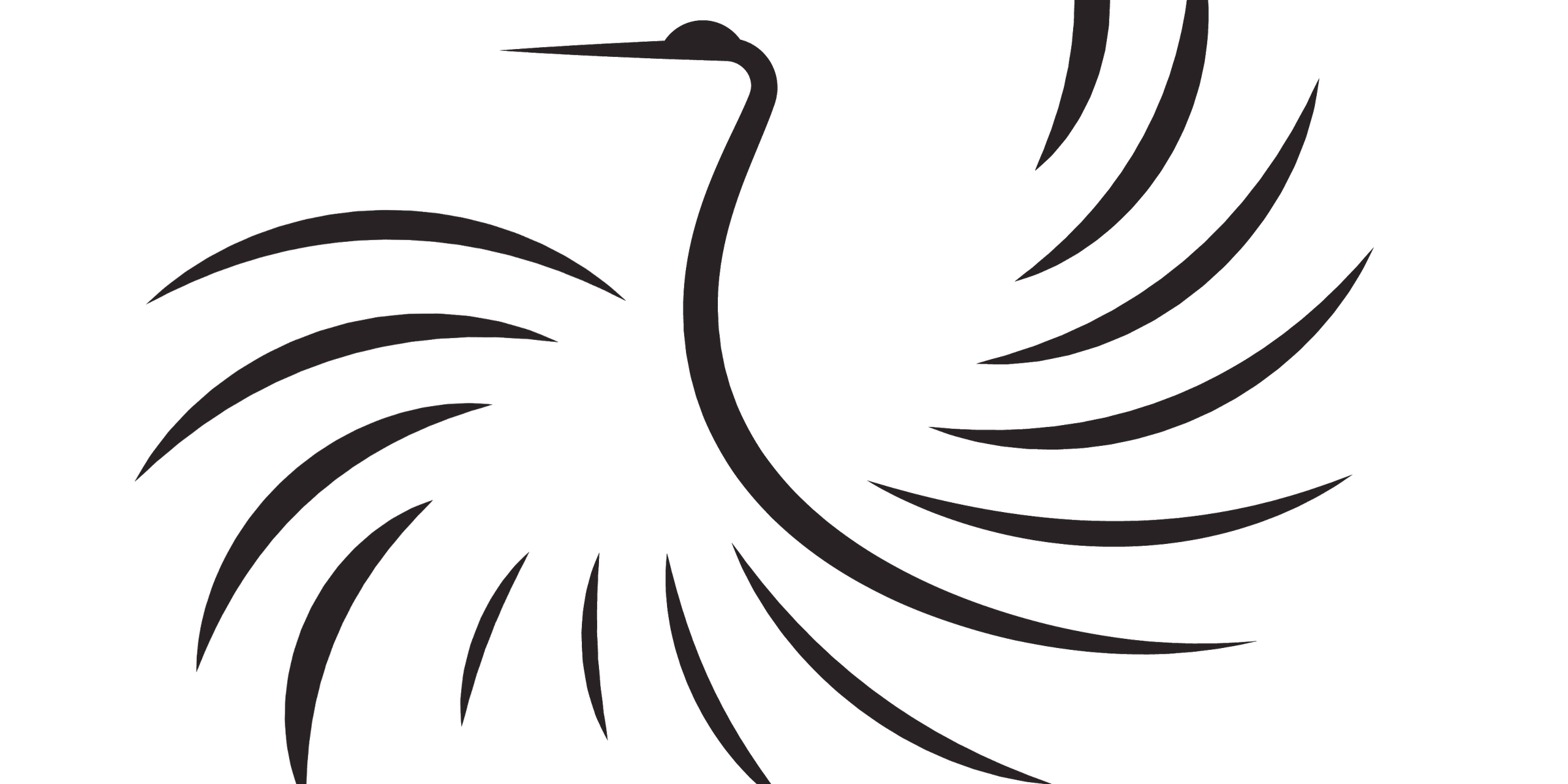 Резюме директора