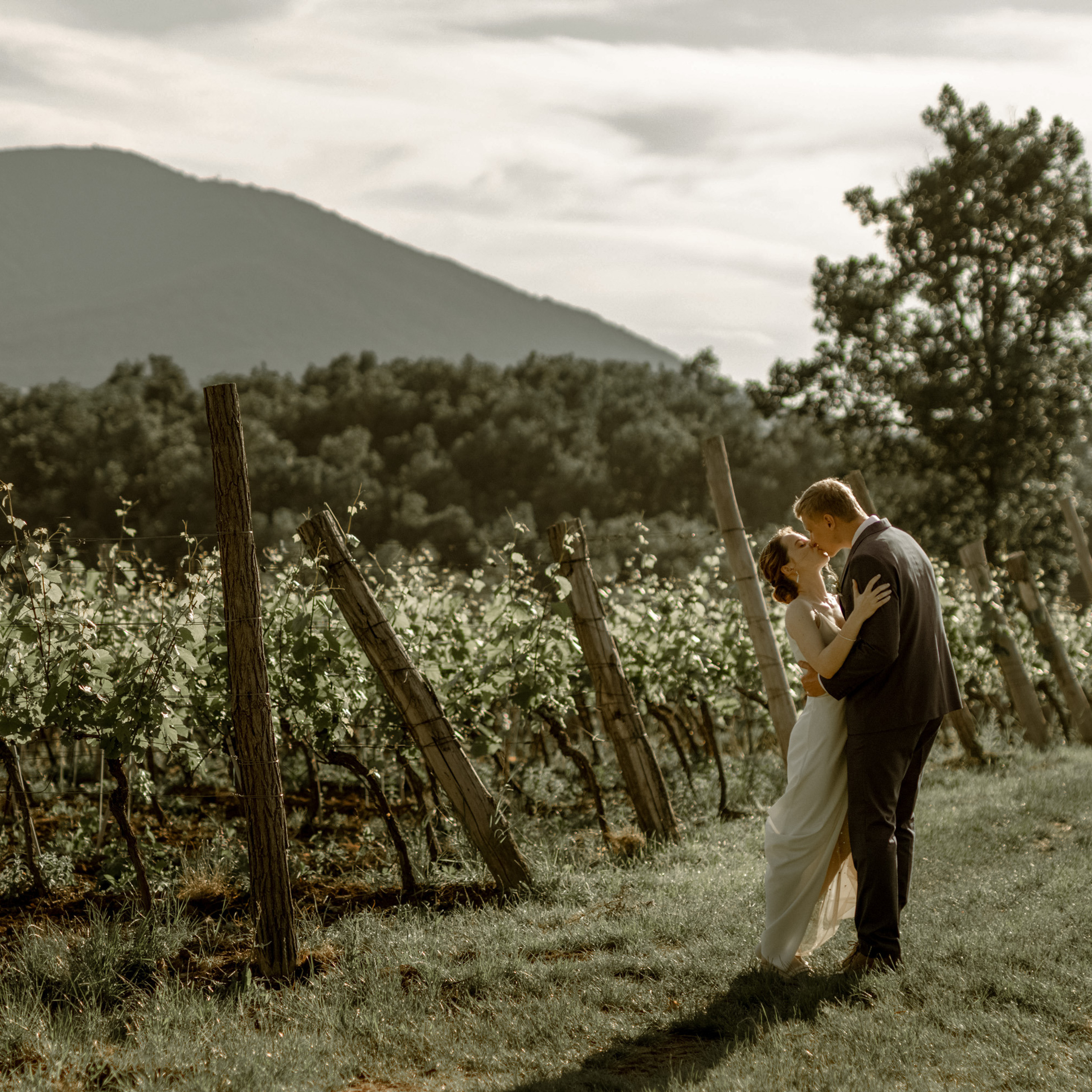 Wedding Vinarija Tarpos