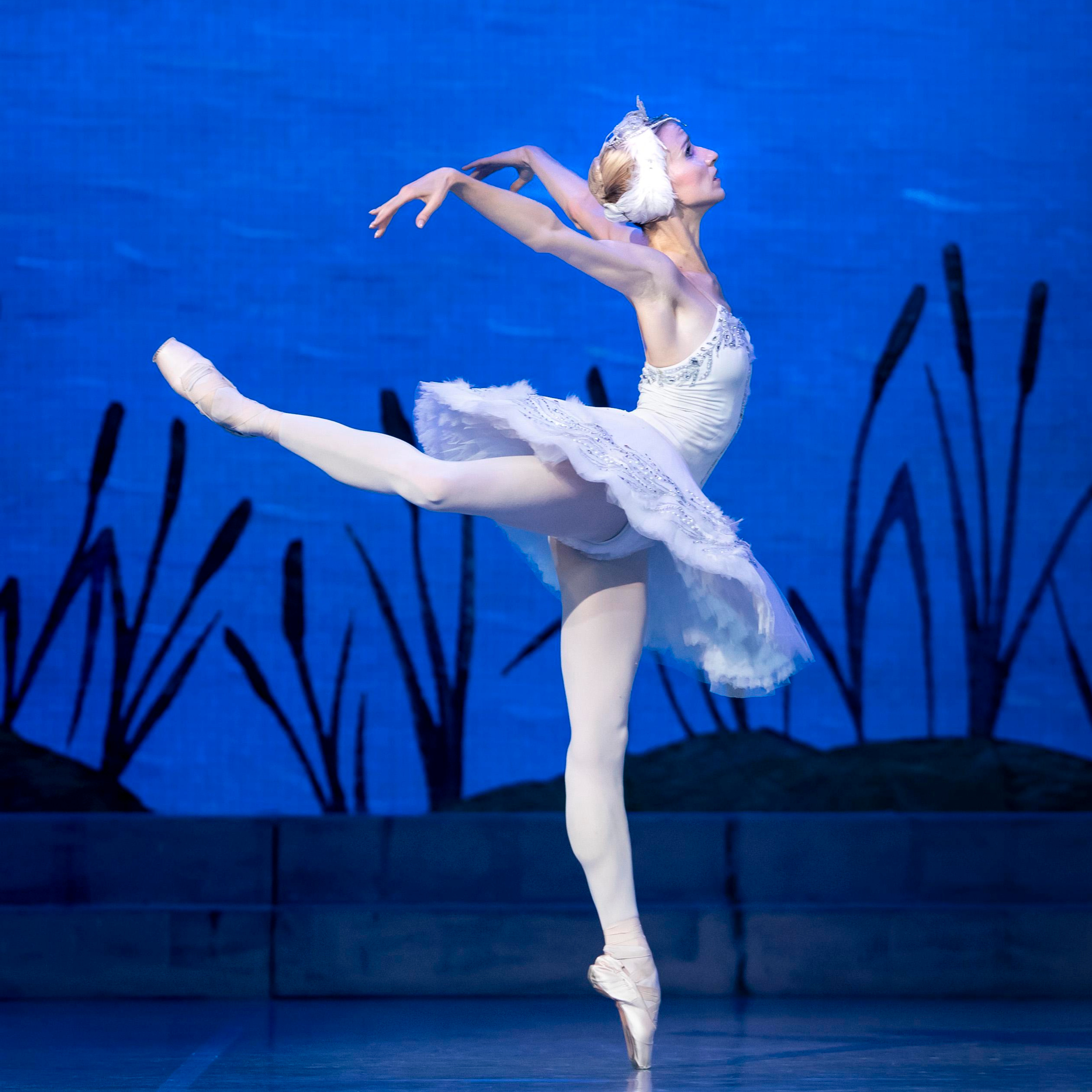 Лебединое озеро для Летние балетные сезоны театр САЦ