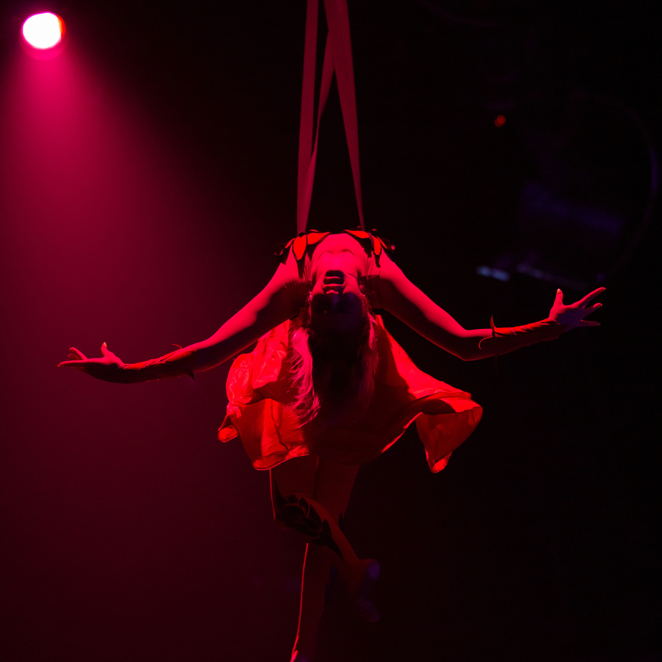 гимнастки на шоу Москвариума