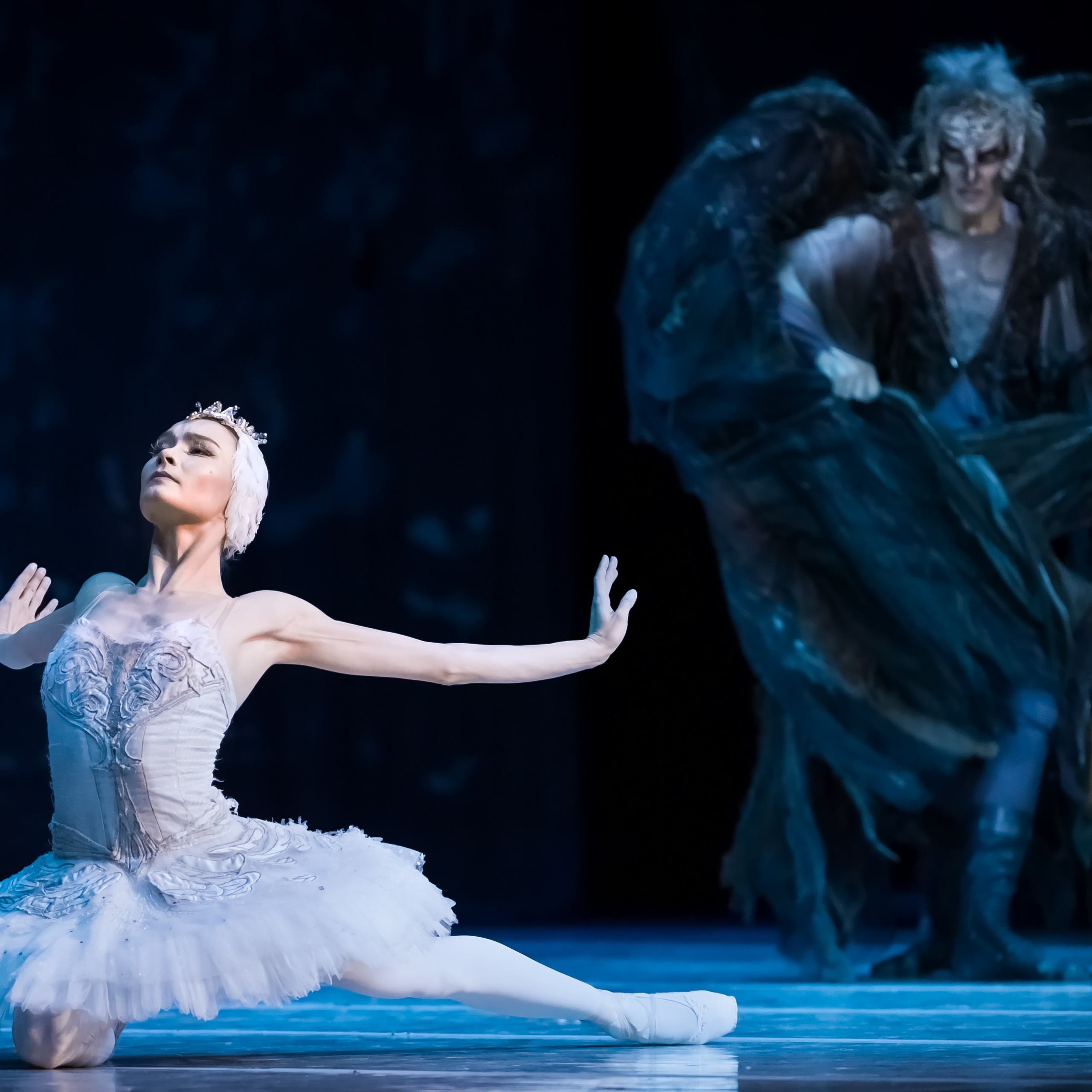 Лебединое озеро. Балет Наталии Касаткиной и Владимира Василёва