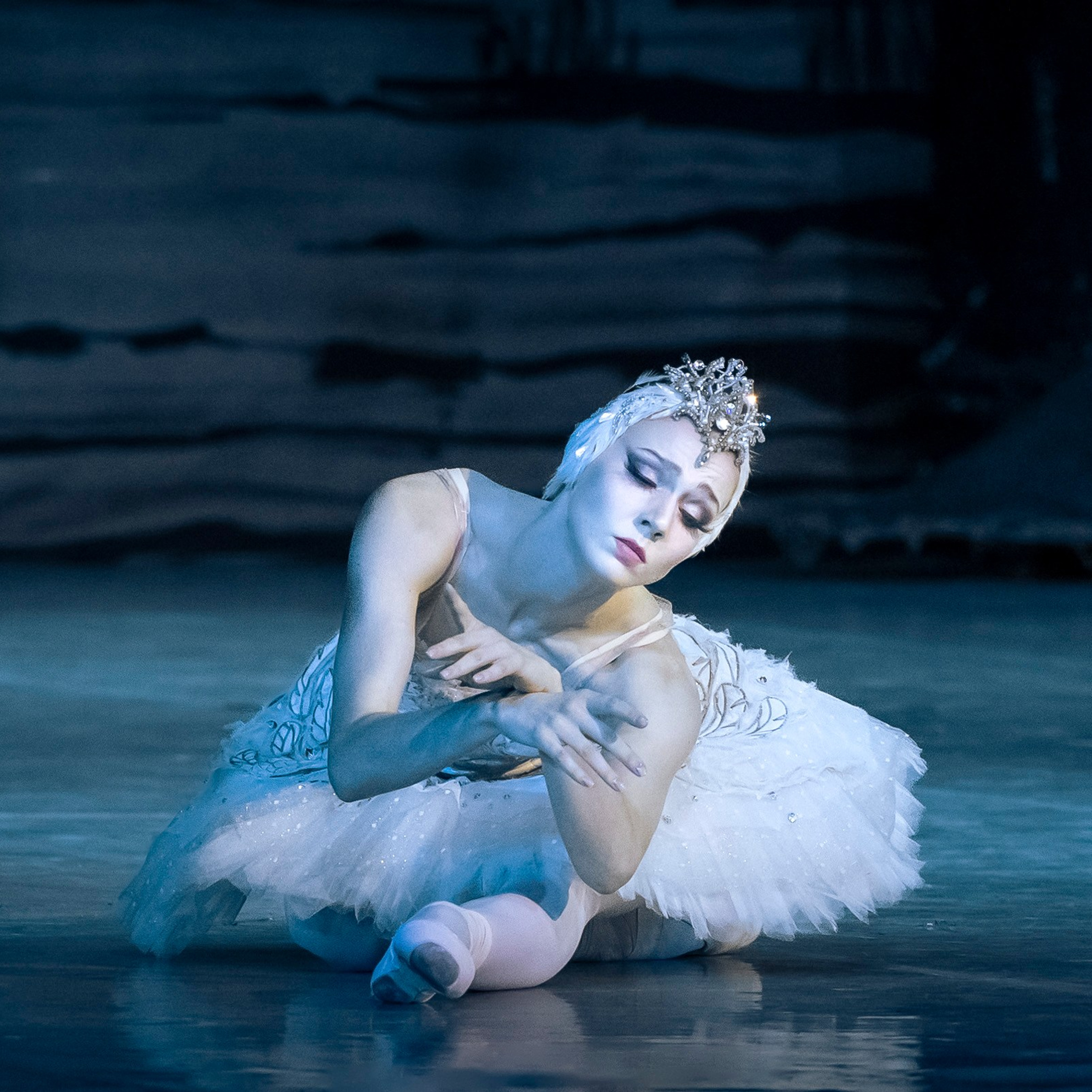 Лебединое озеро. Балет Наталии Касаткиной и Владимира Василёва