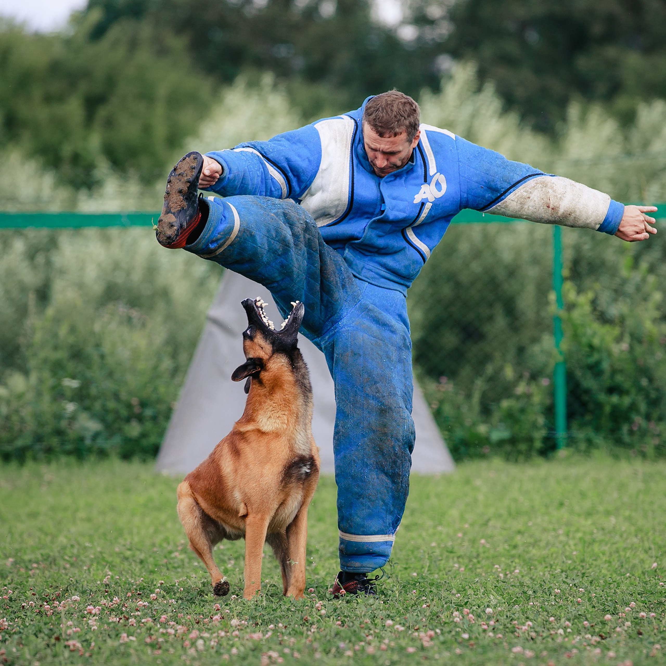 Мондьоринг М1, М2, М3, Вологда