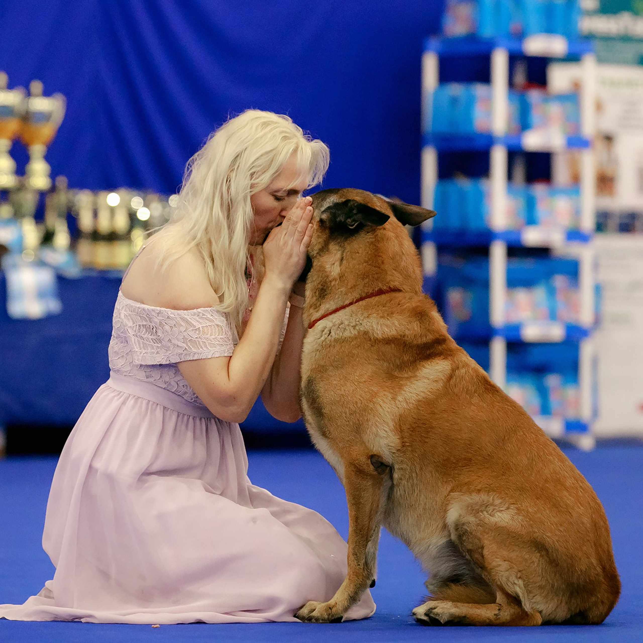 Танцы на выставке «Зоошоу», СПб