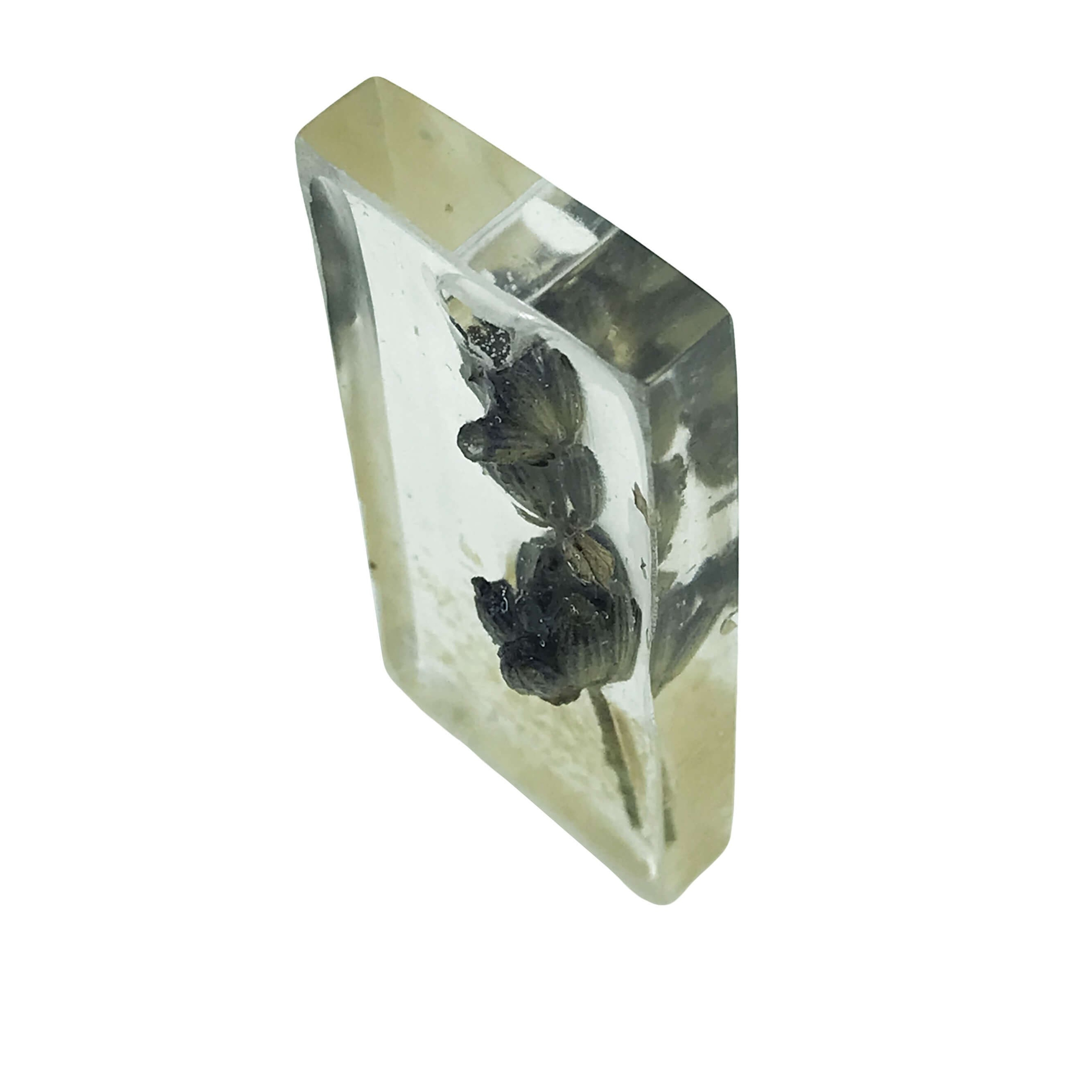 Хобби. Полина Арт