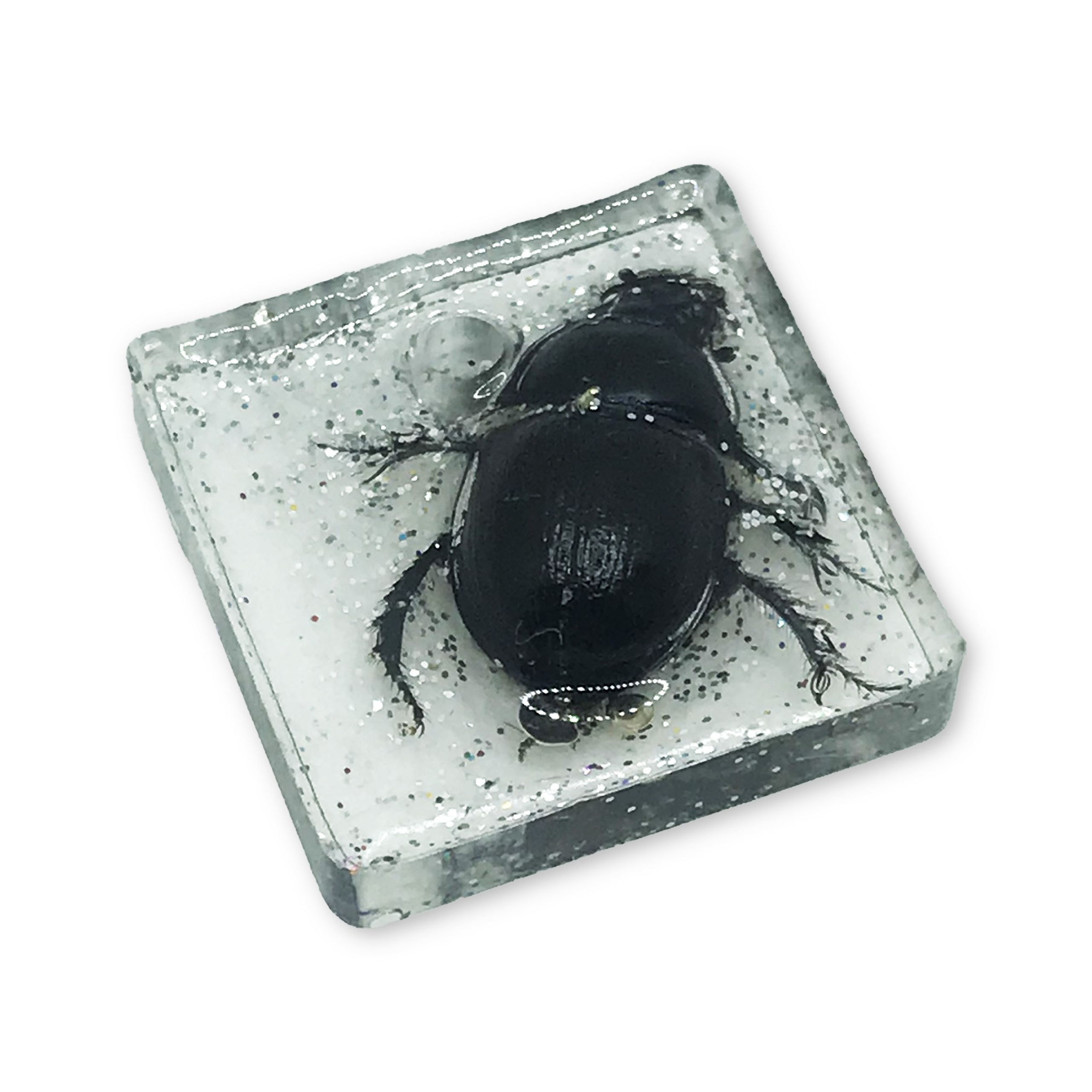 Хобби. Полина Арт