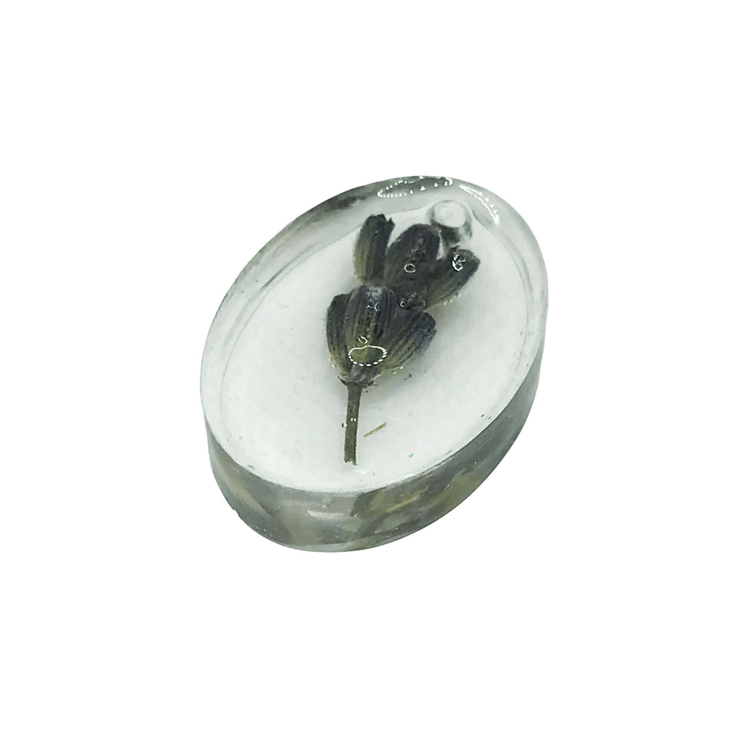 Хобби. Полина Арт