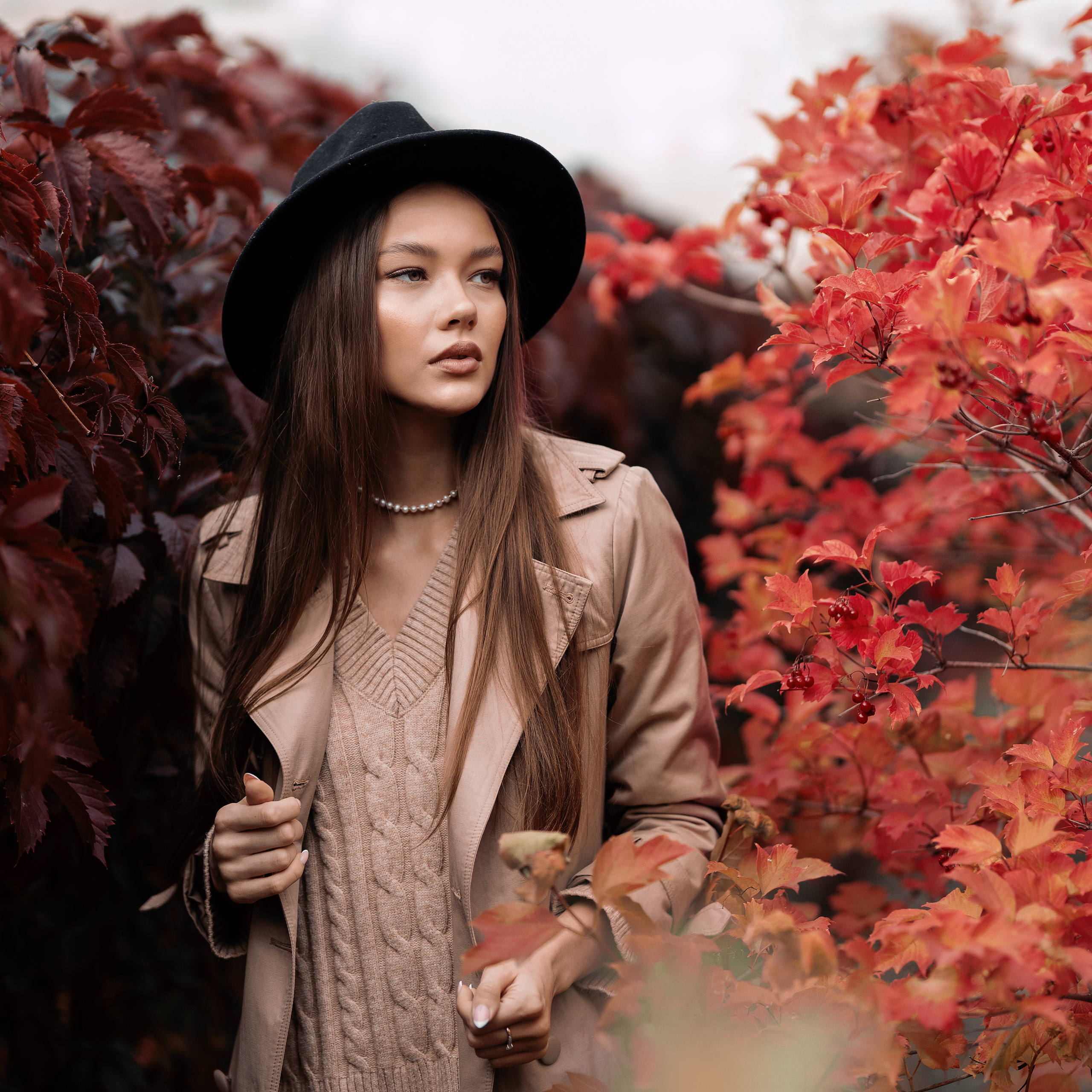 Дания, осенний фотосет