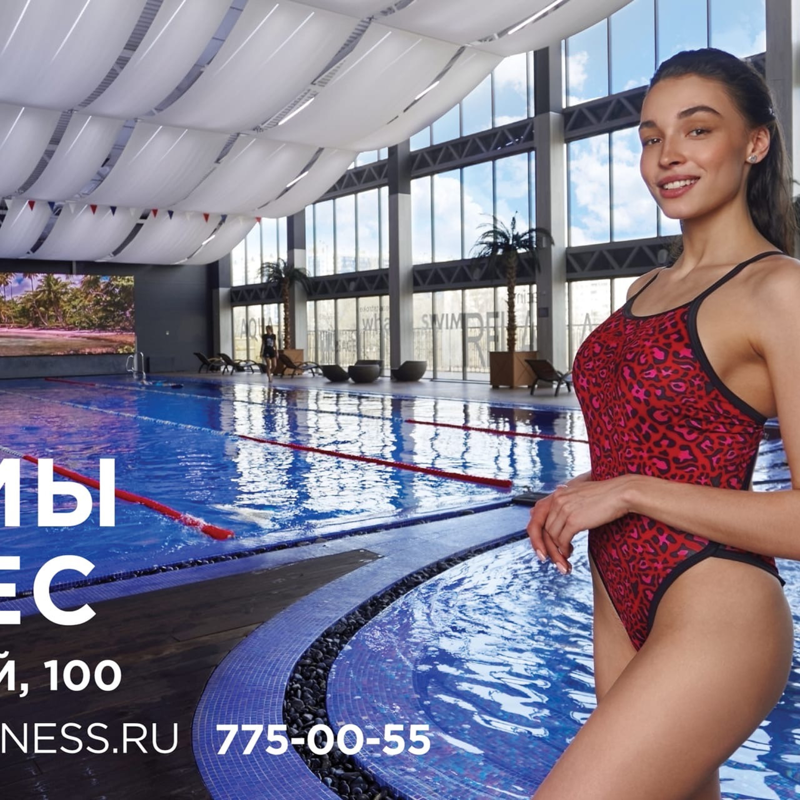 Nova Arena. Билборд и контент