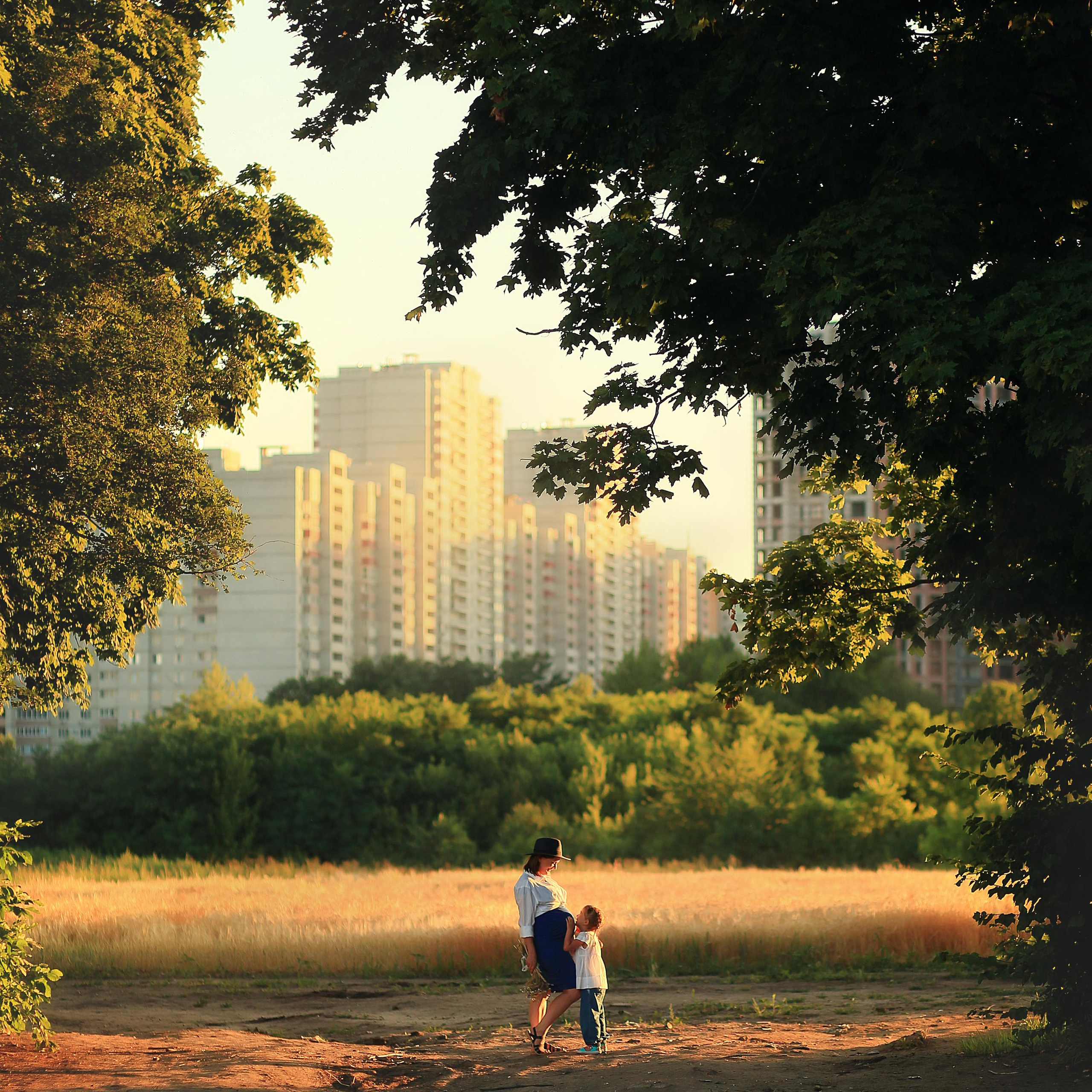 Закат, поля и ромашки