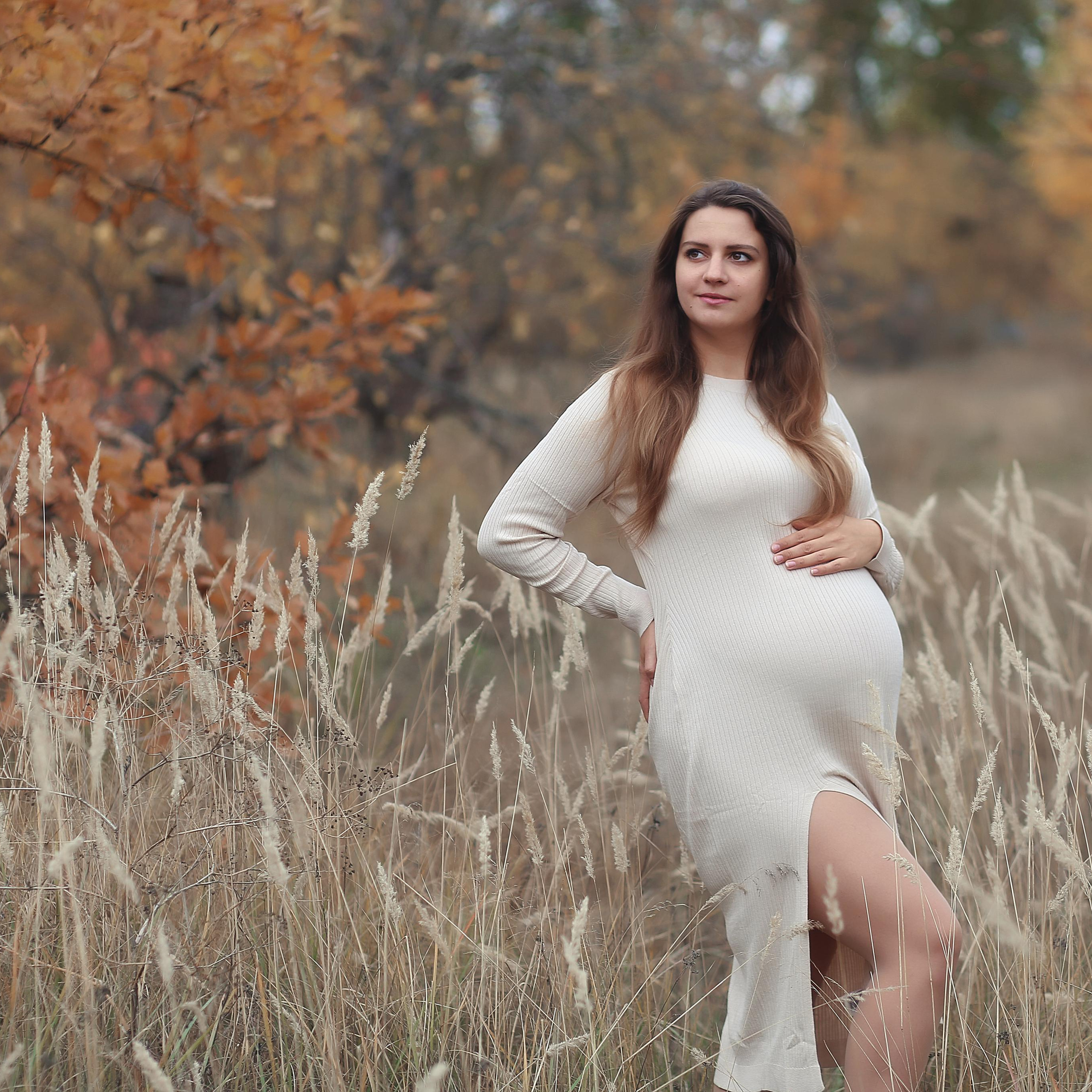 Осень в яблоневом саду