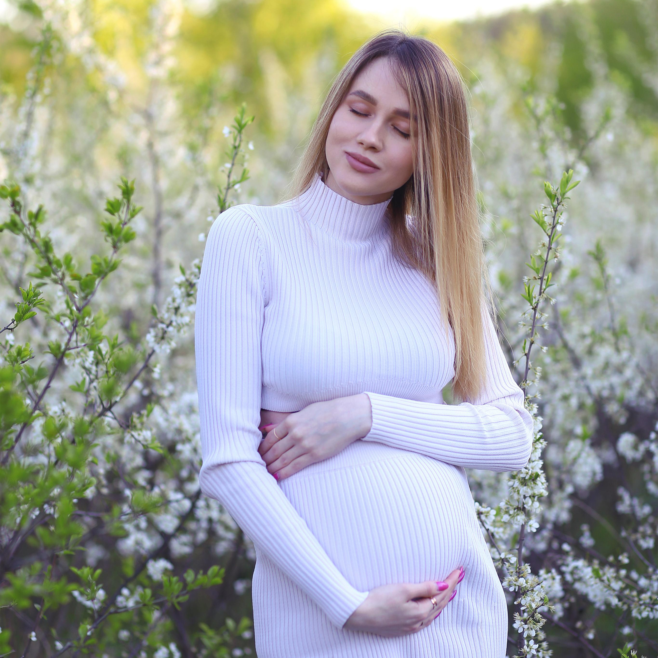 Цветущий лес на закате