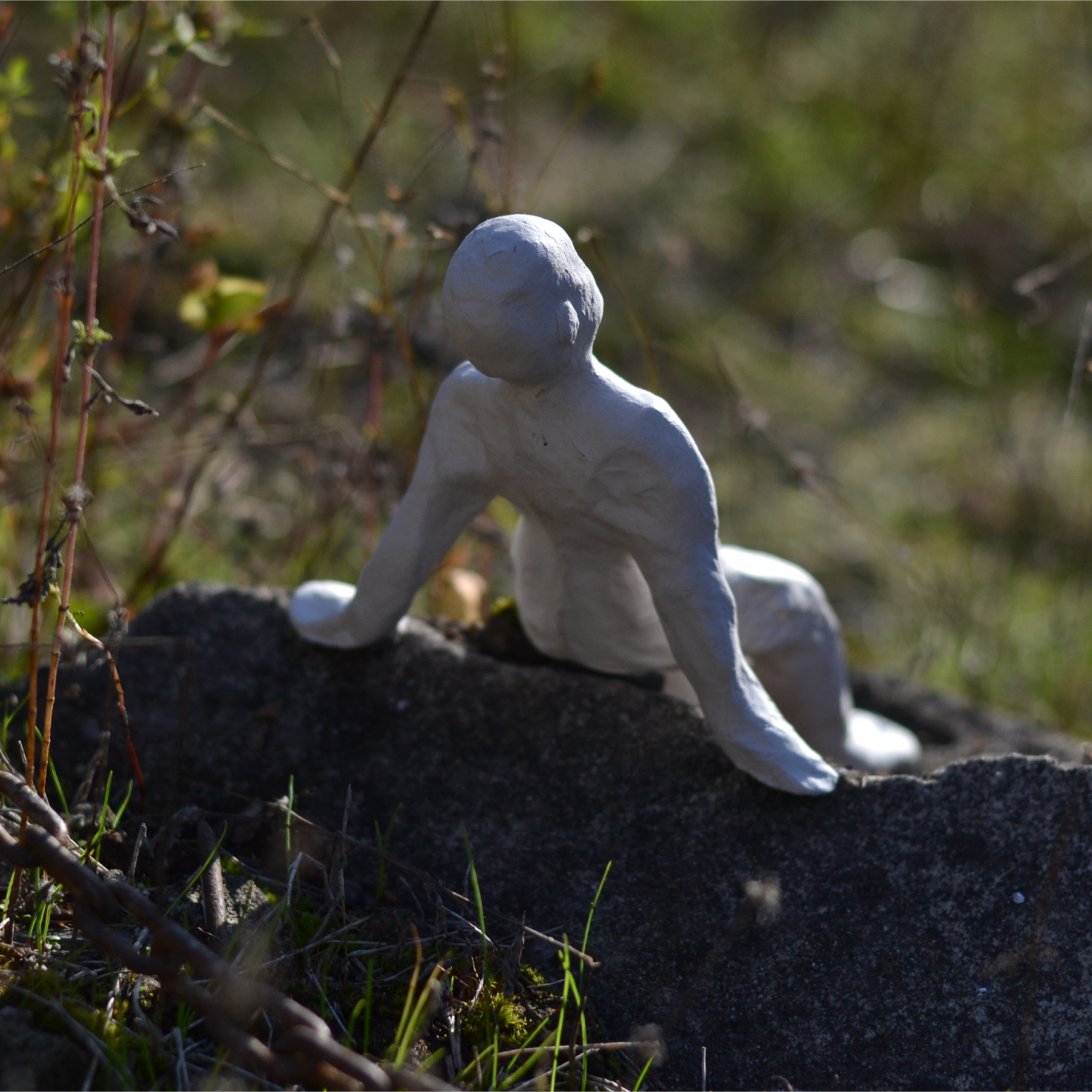 Curatorial projects. Mmiore